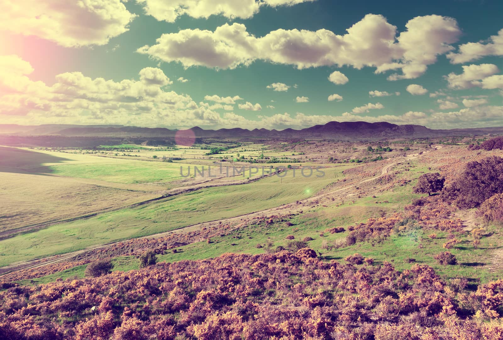 Green grass and hill.Blue sky and mountain panorama in retro style.