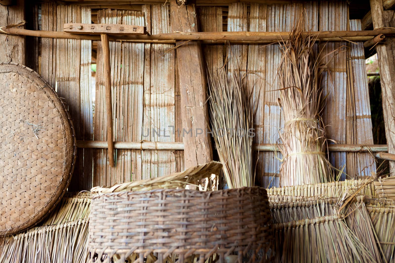 Travel around the world. Bamboo tribe home background