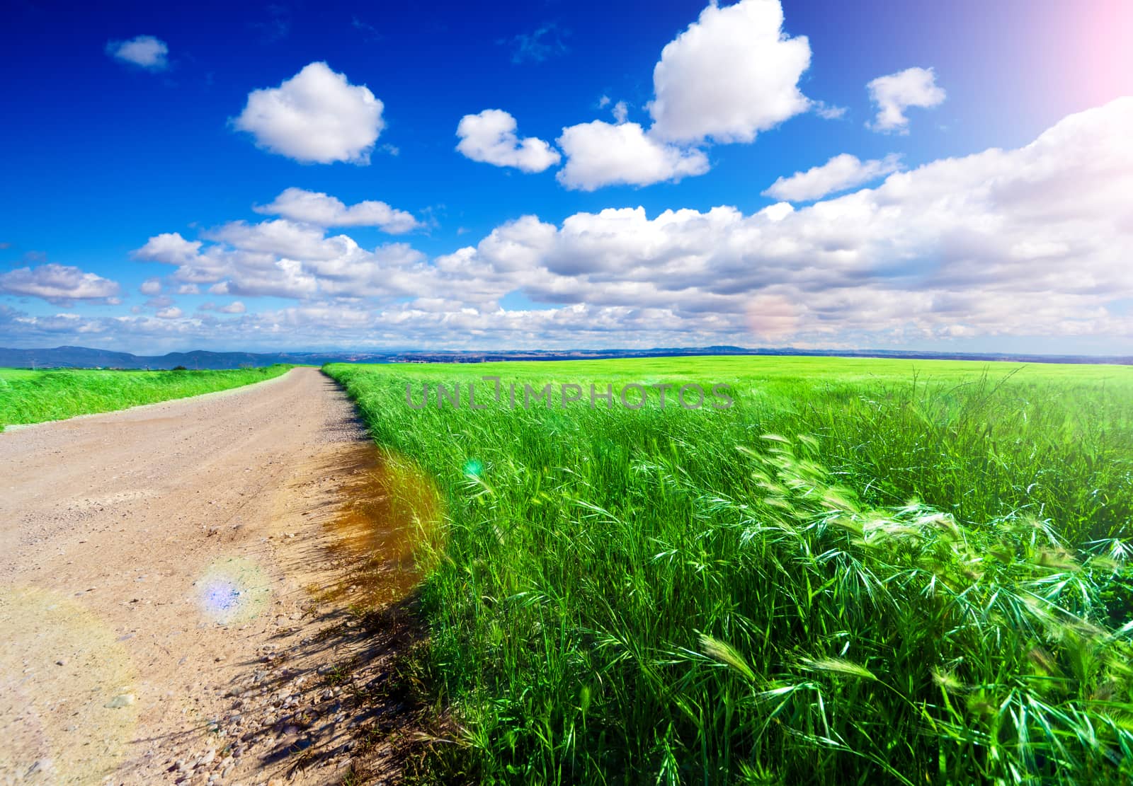 Green grass,blue sky and empty road sunset.Adventure ramble concept