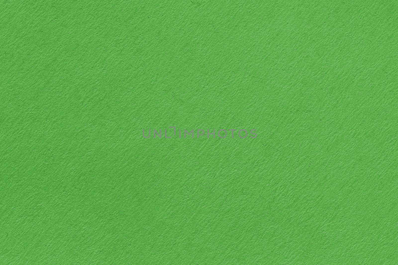 Green washed paper texture background. Recycled paper texture. by ivo_13