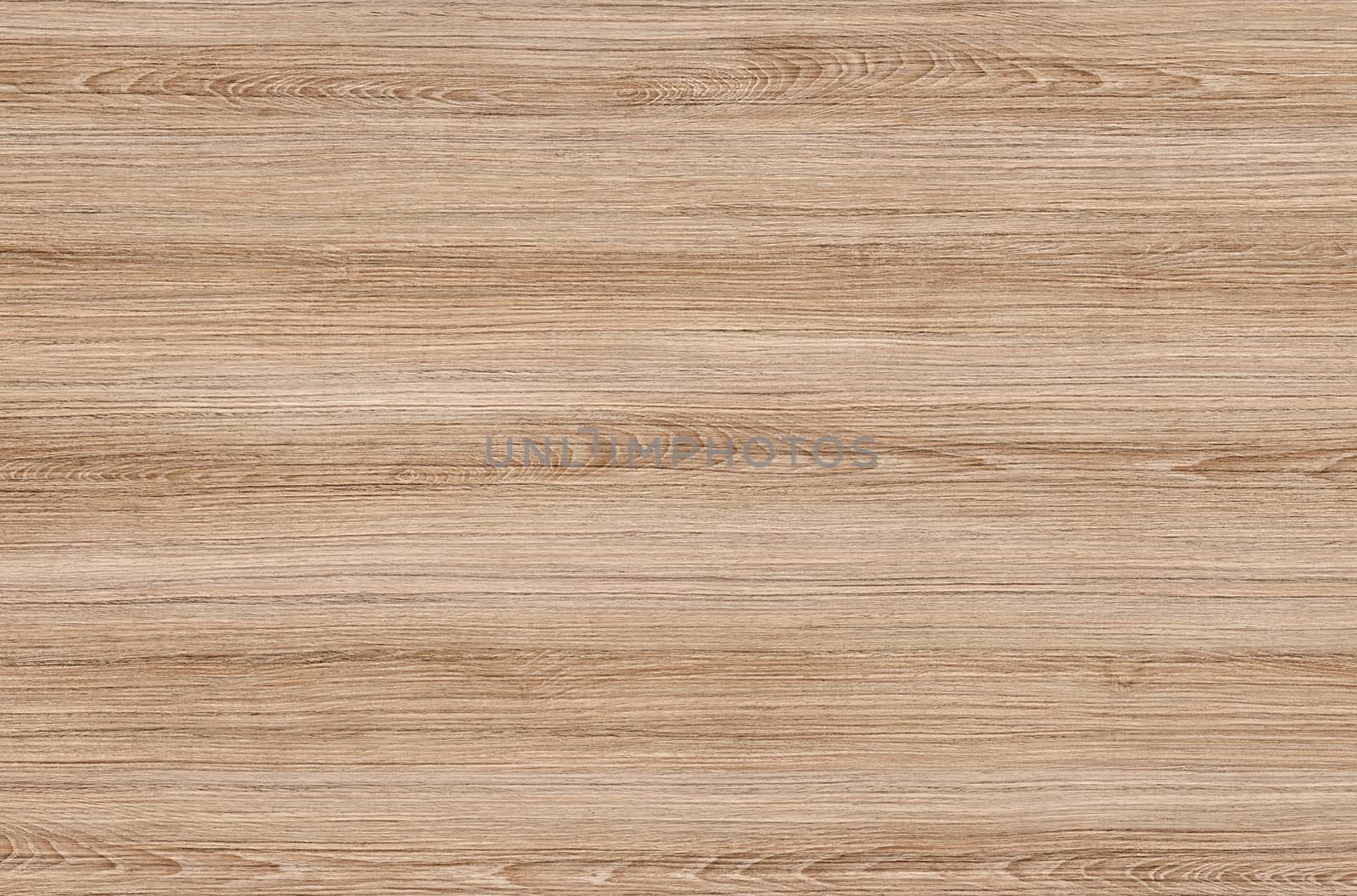 Brown wood texture. Abstract wood texture background.