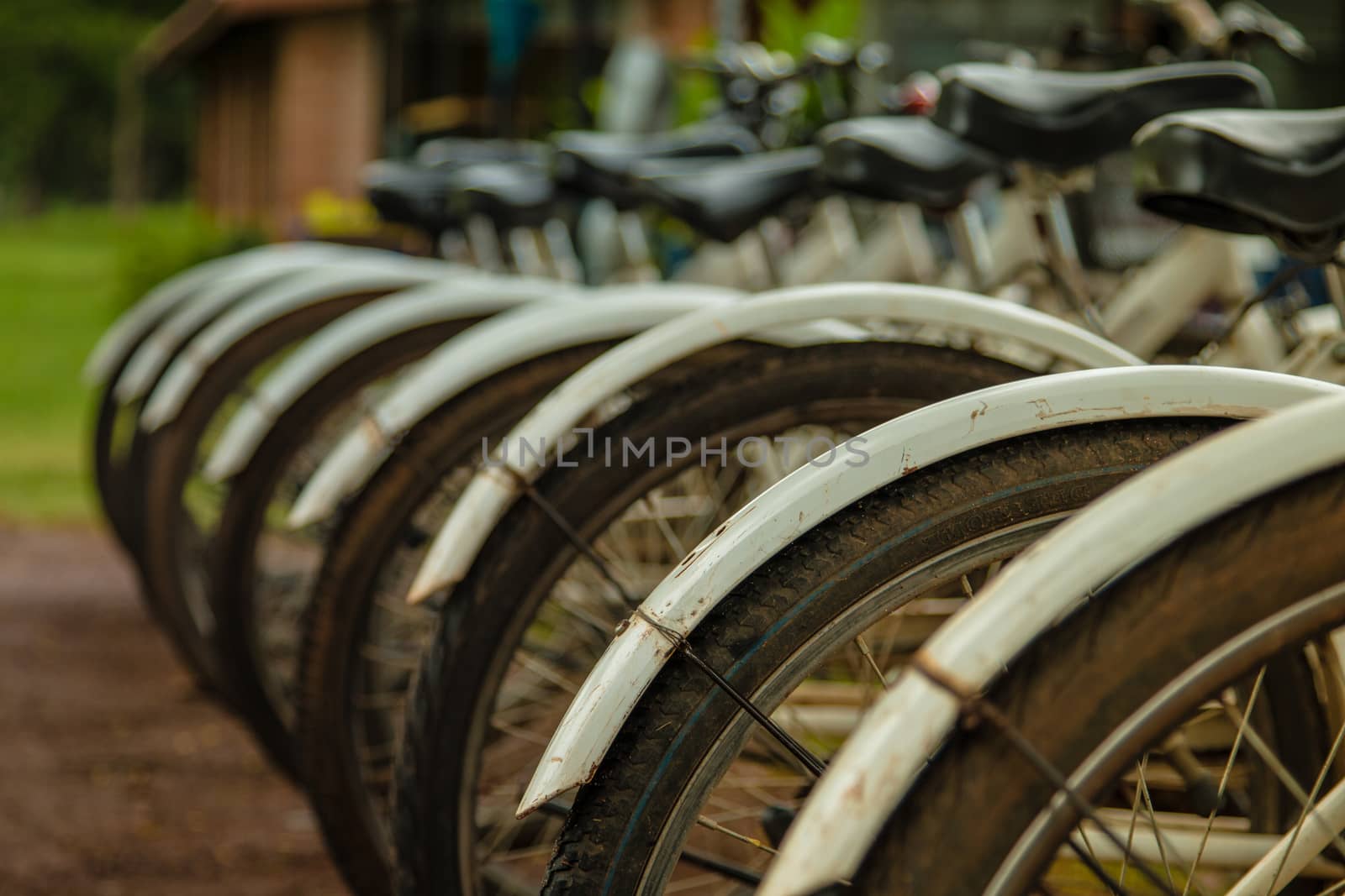white bicycles parking in a row. by N_u_T