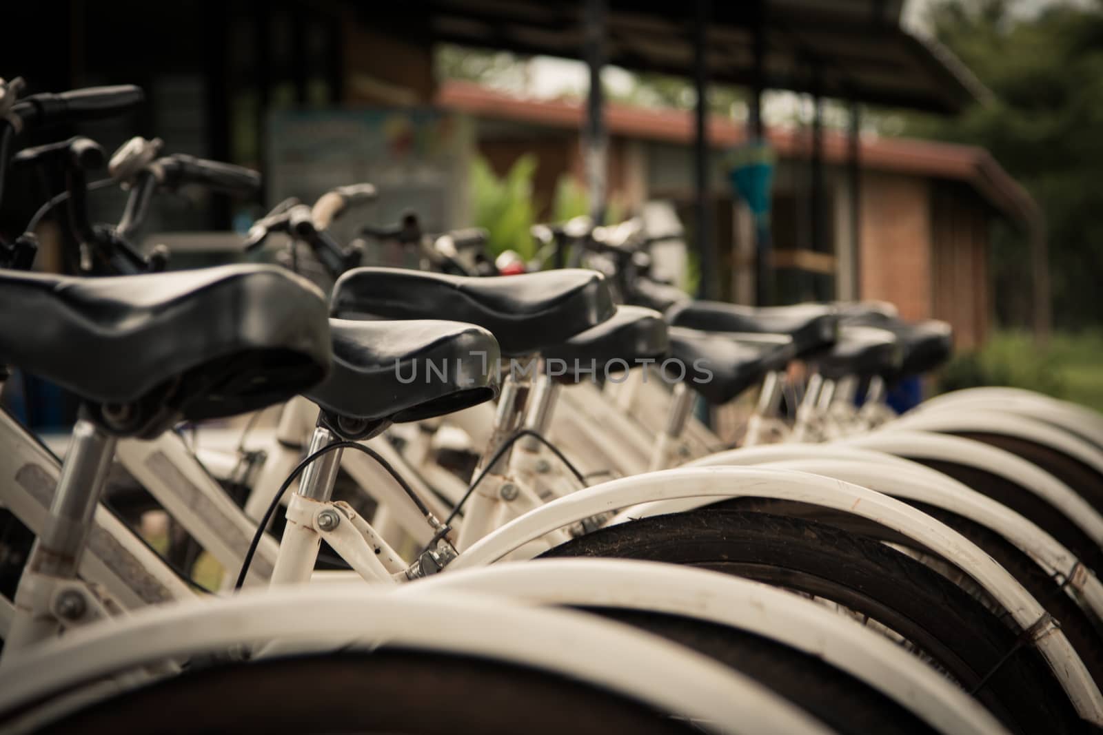 white bicycles parking in a row.