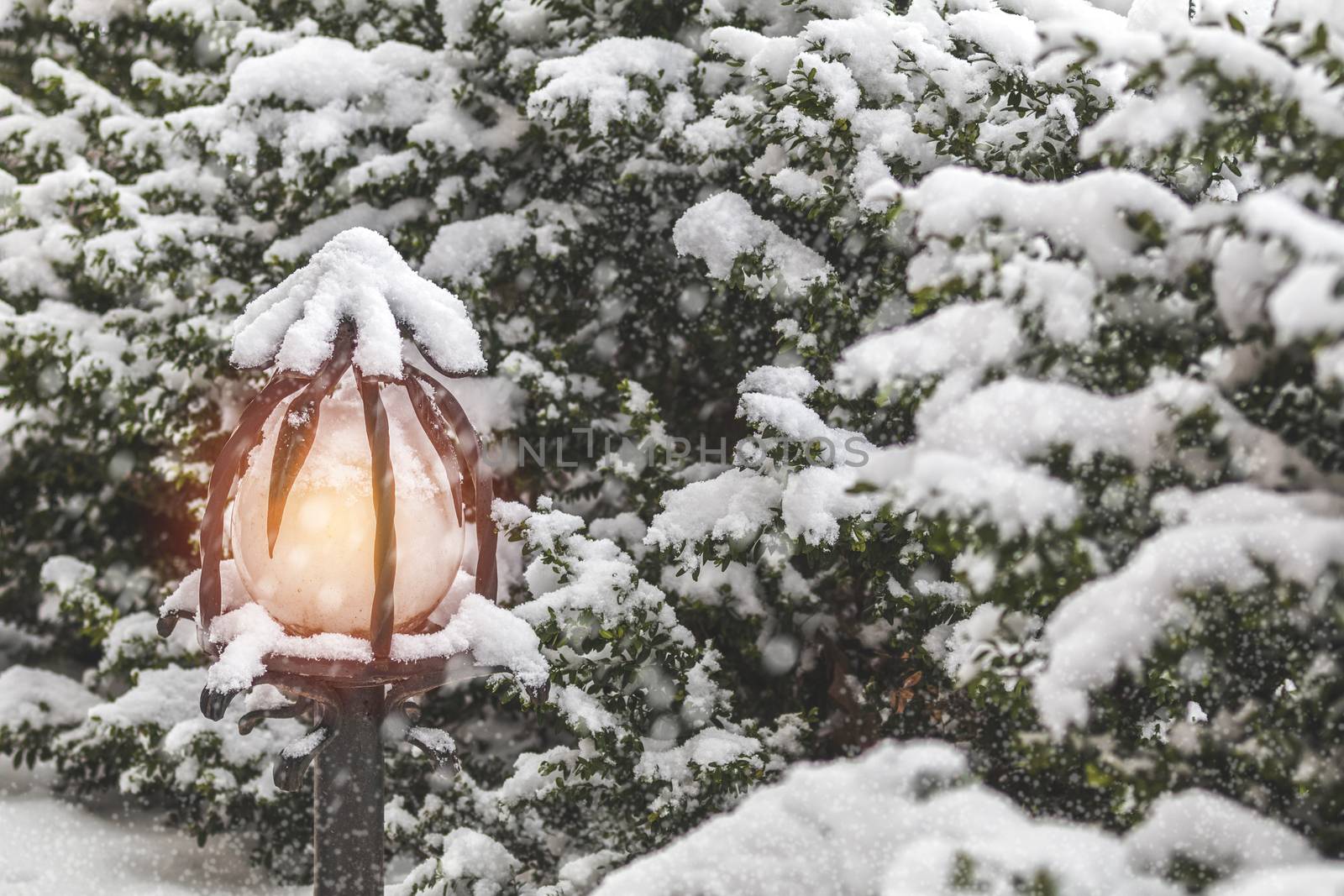 Beautiful winter background with trees cover snow and street light. Snow falls, toned photo, cope space.