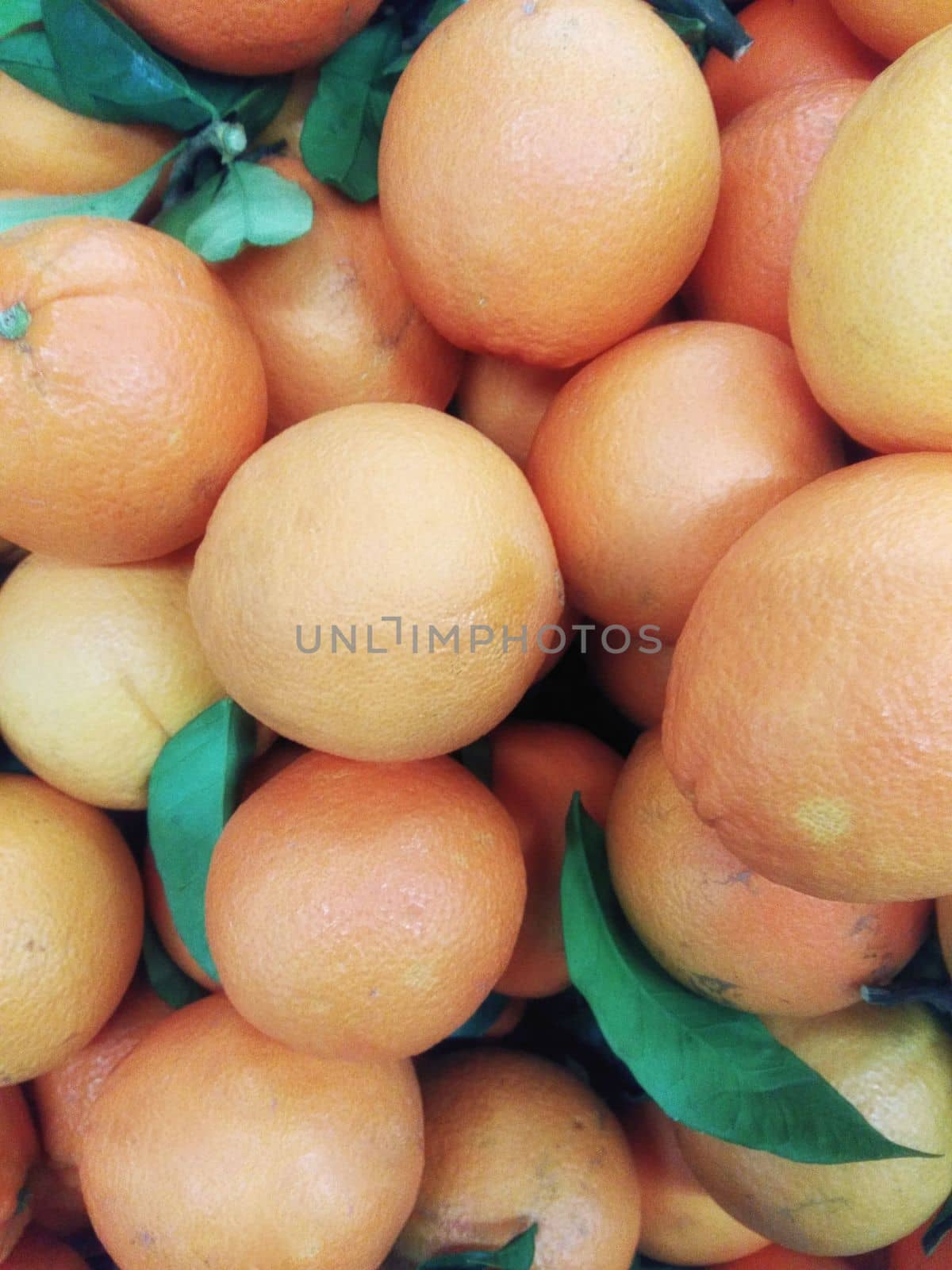 oranges