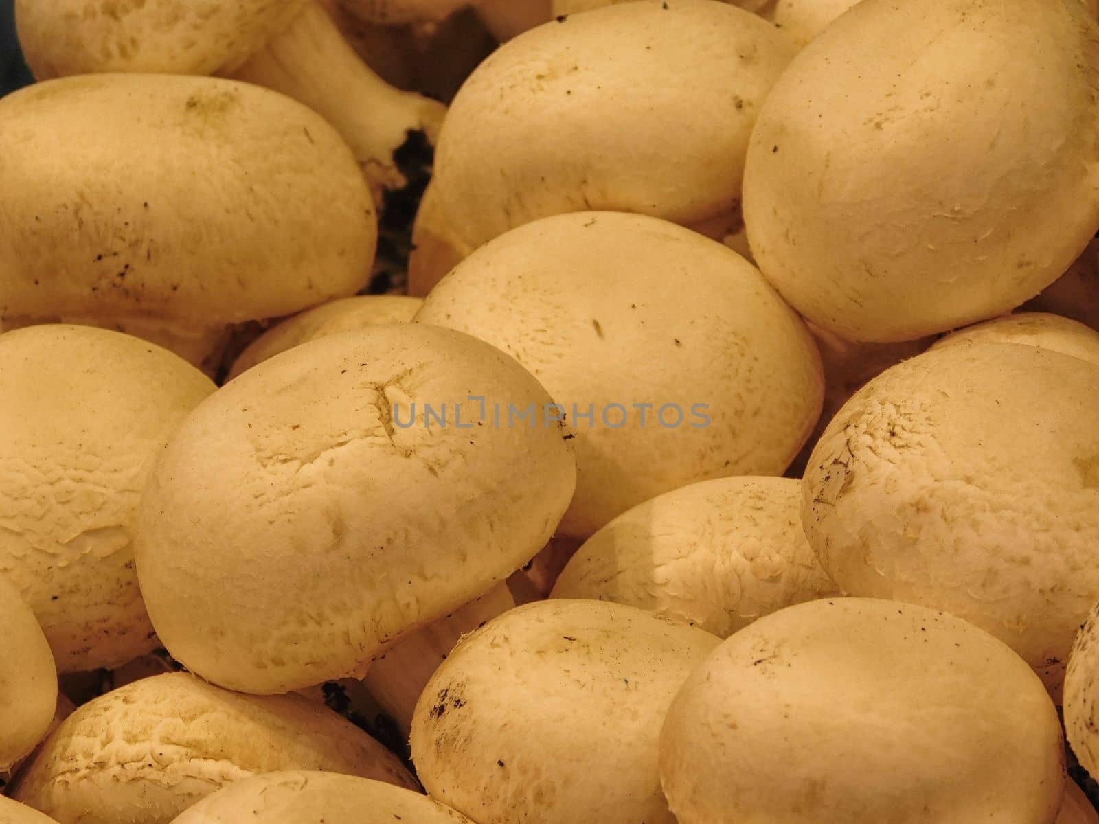 mushrooms
