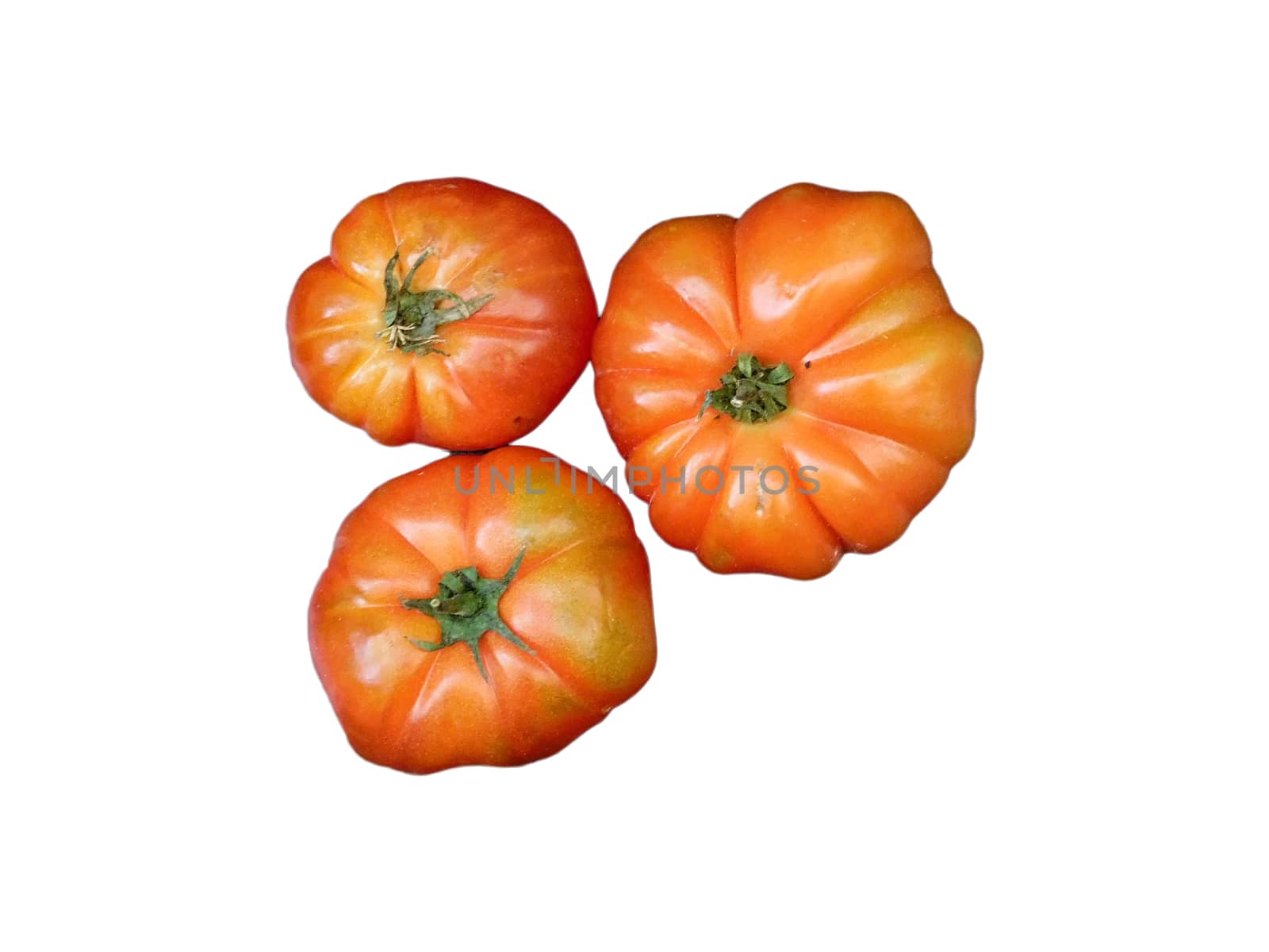 tomatoes