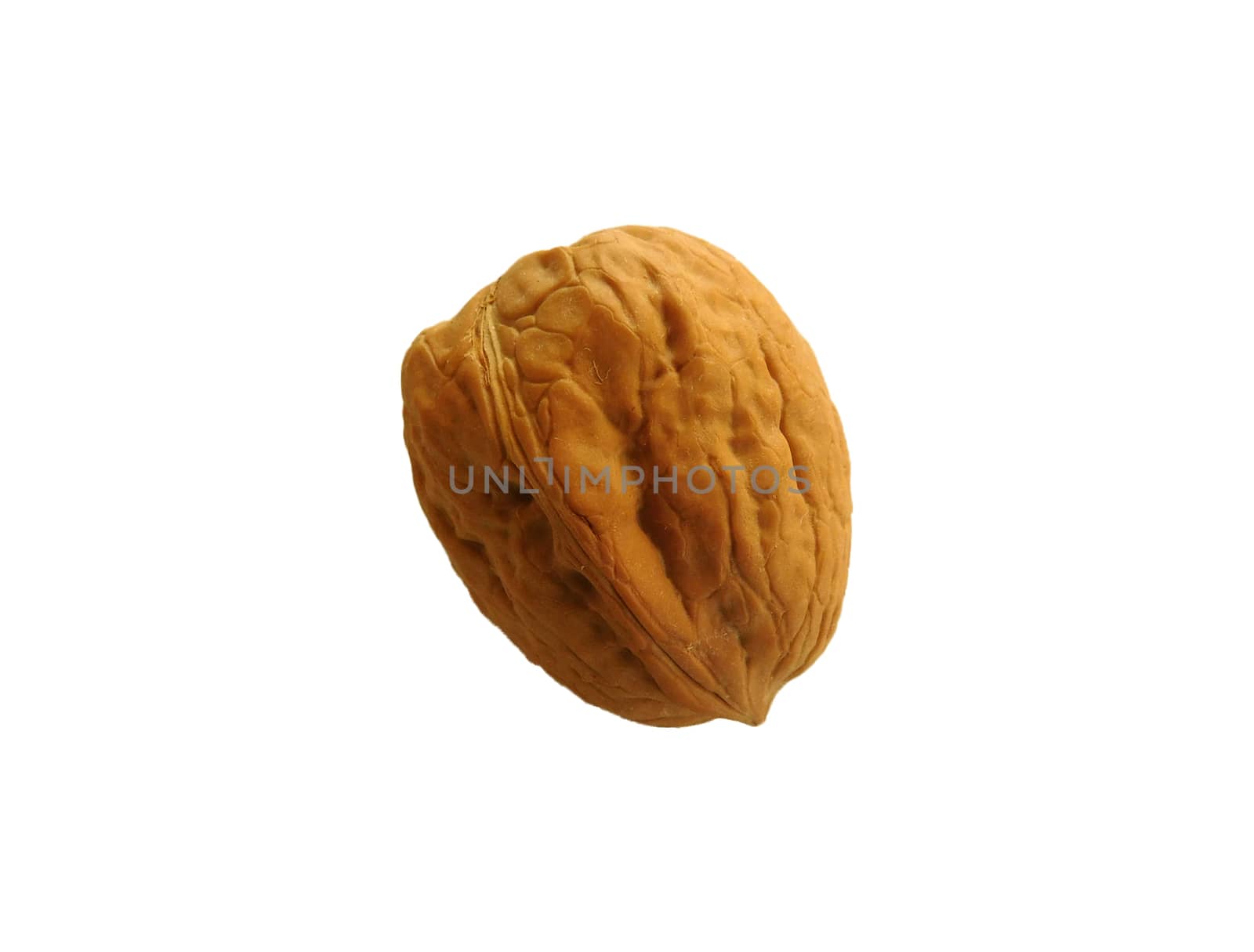 walnut with shell