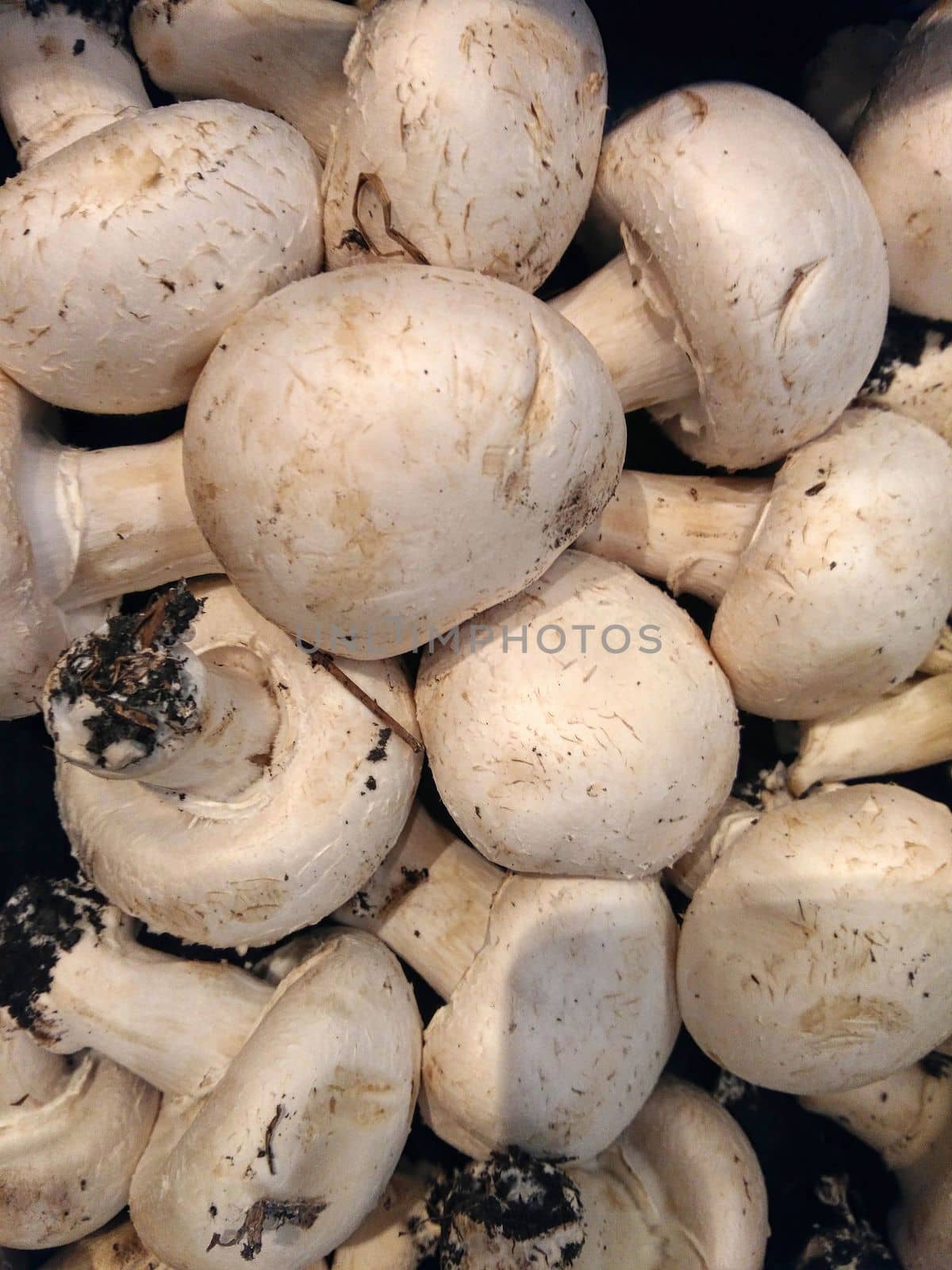 mushrooms