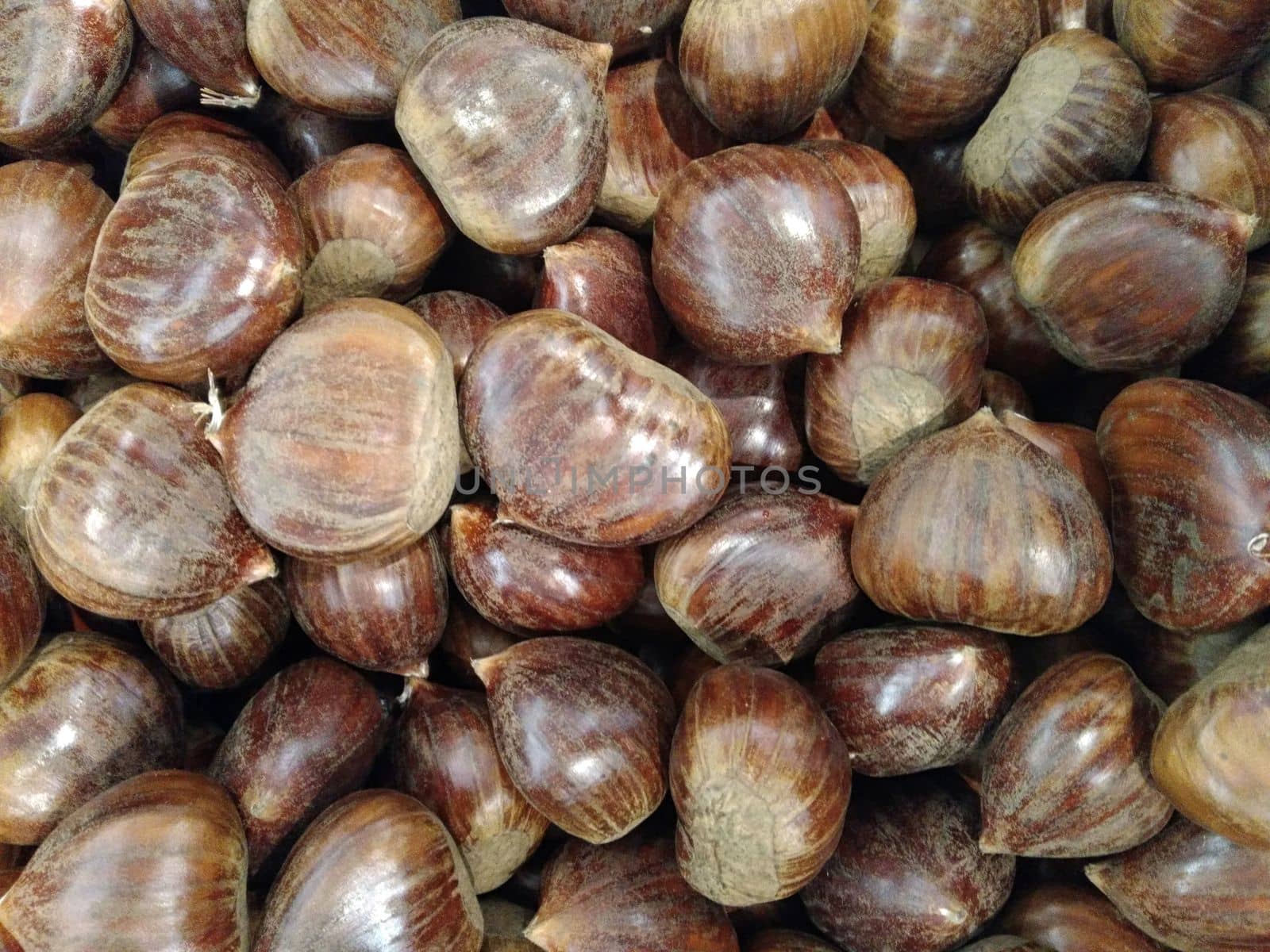 chestnuts