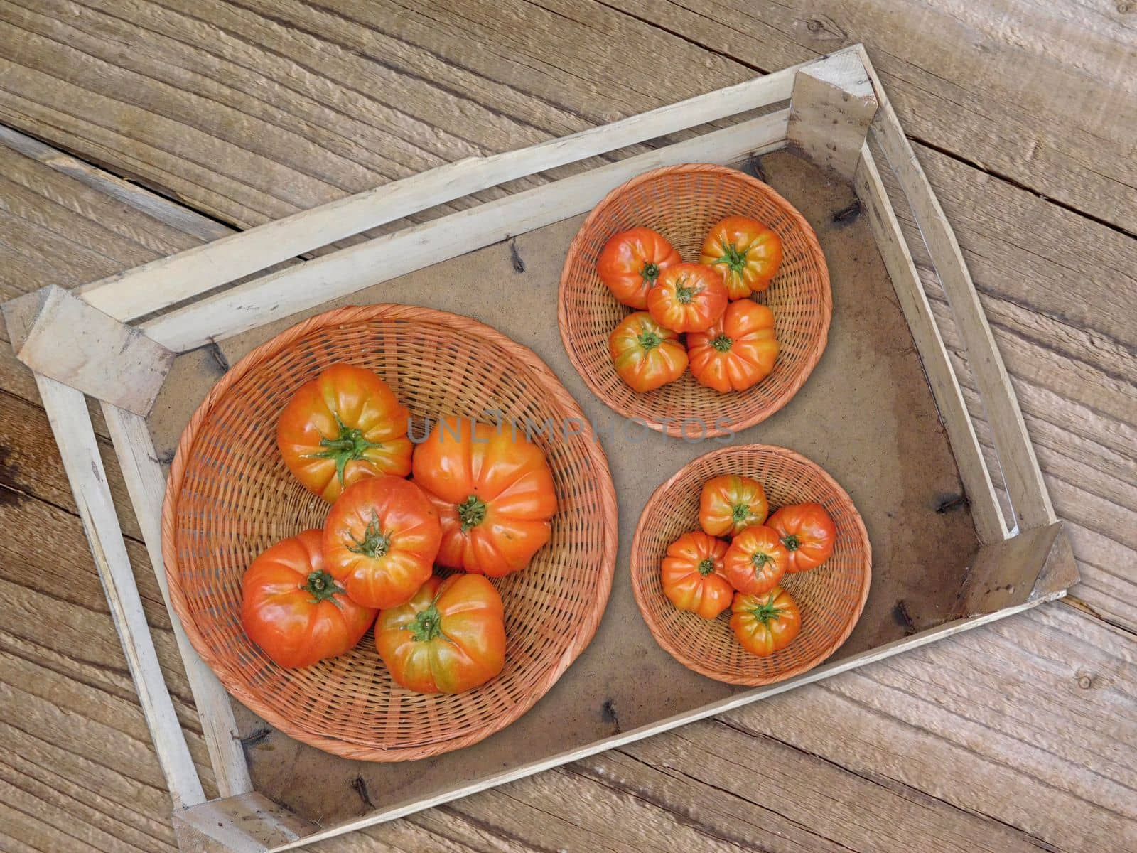 tomatoes