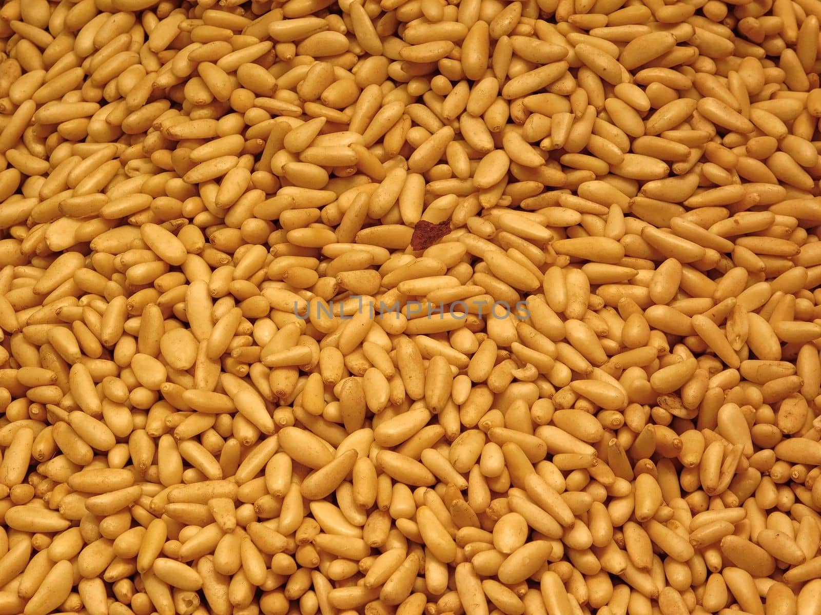 Pine nuts