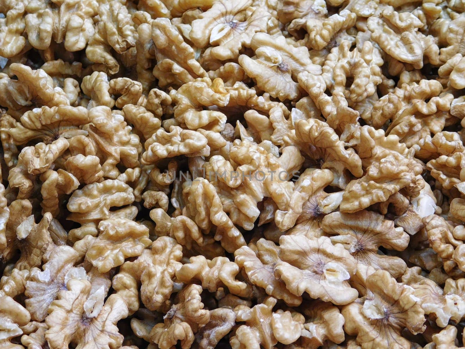 walnuts with shell