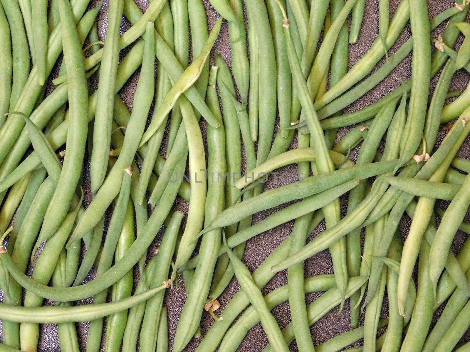 vegetable bean