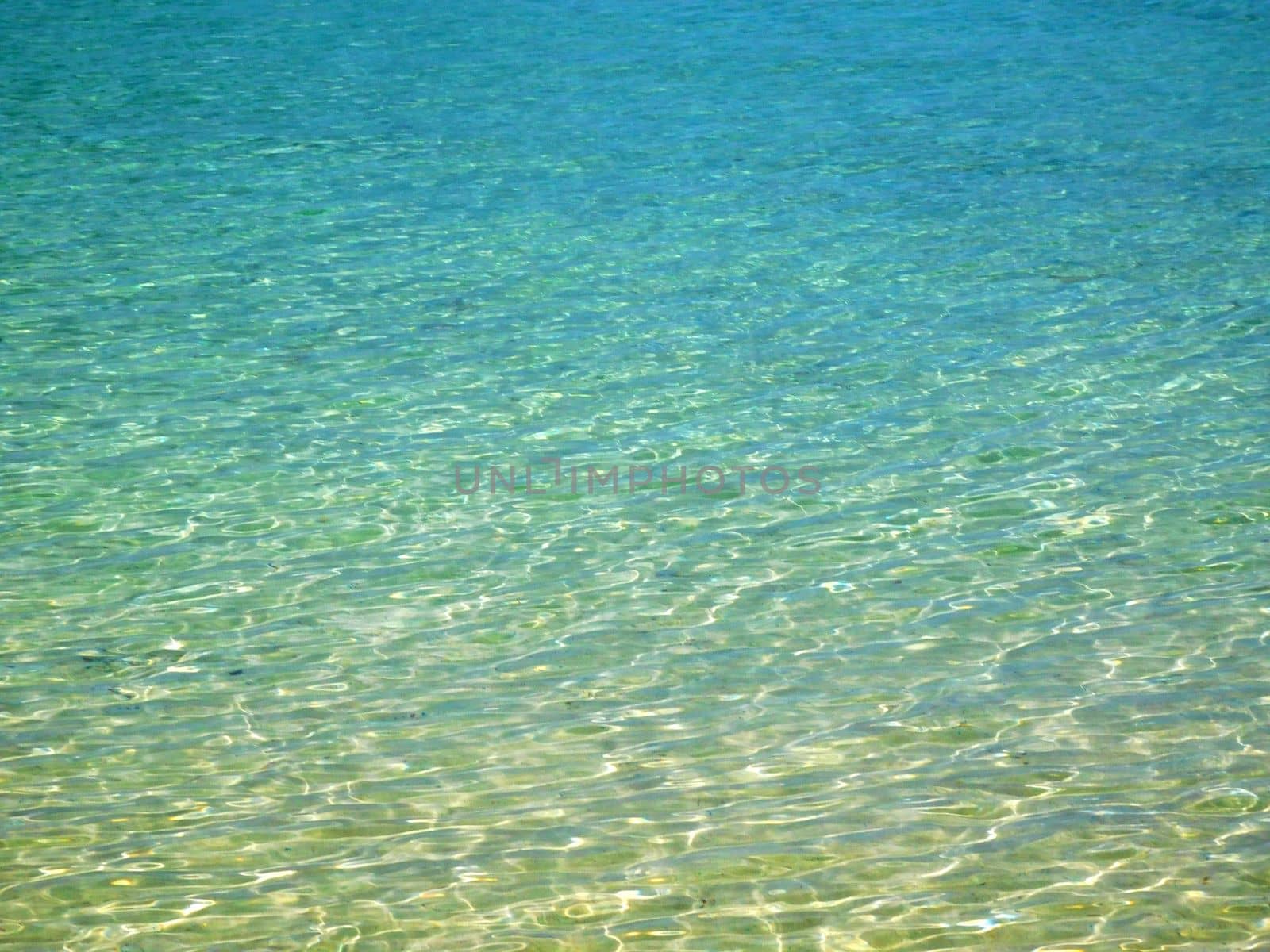 sea