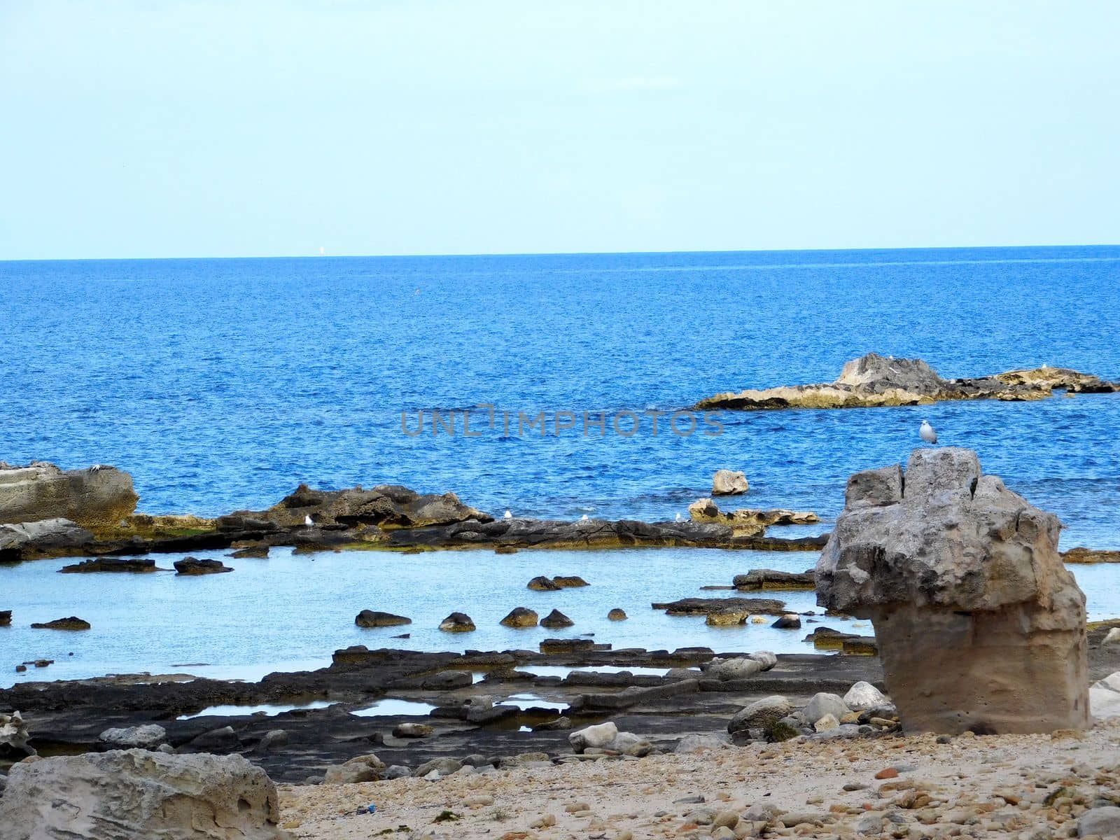 sea