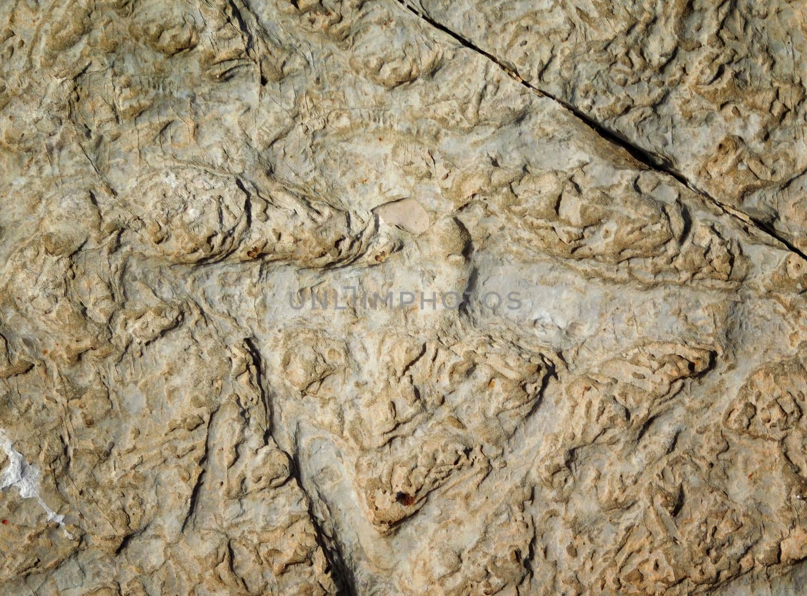 stone texture