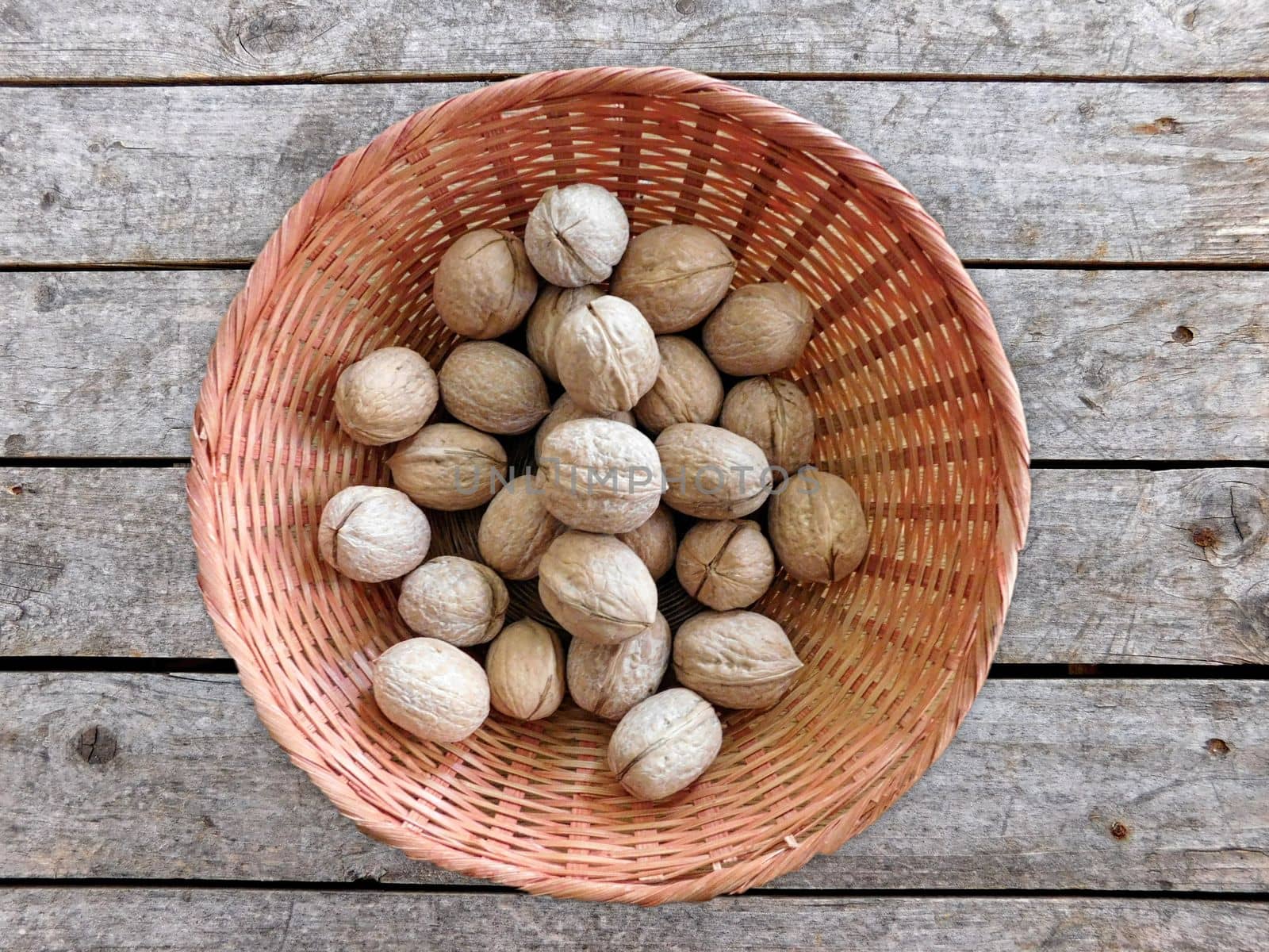 walnuts with shell