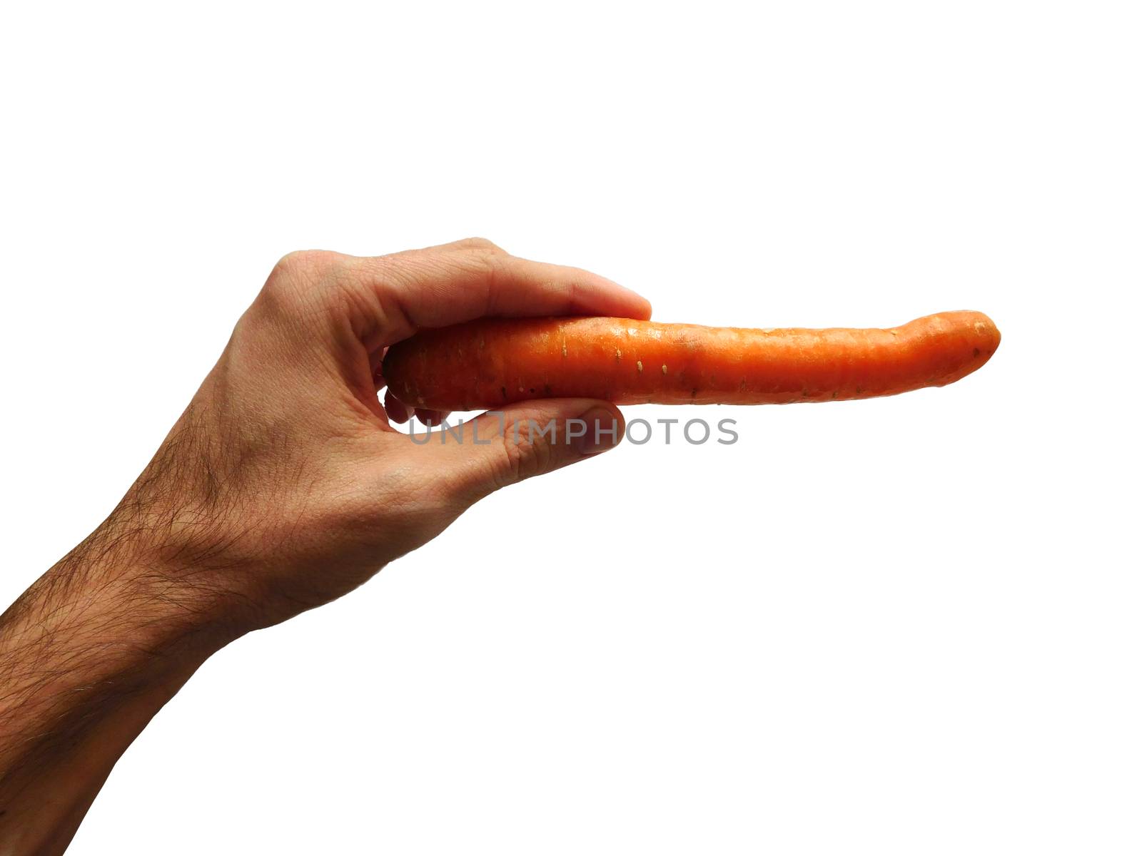 carrot in hand