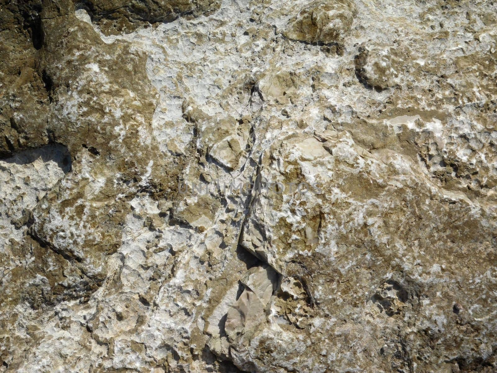stone texture