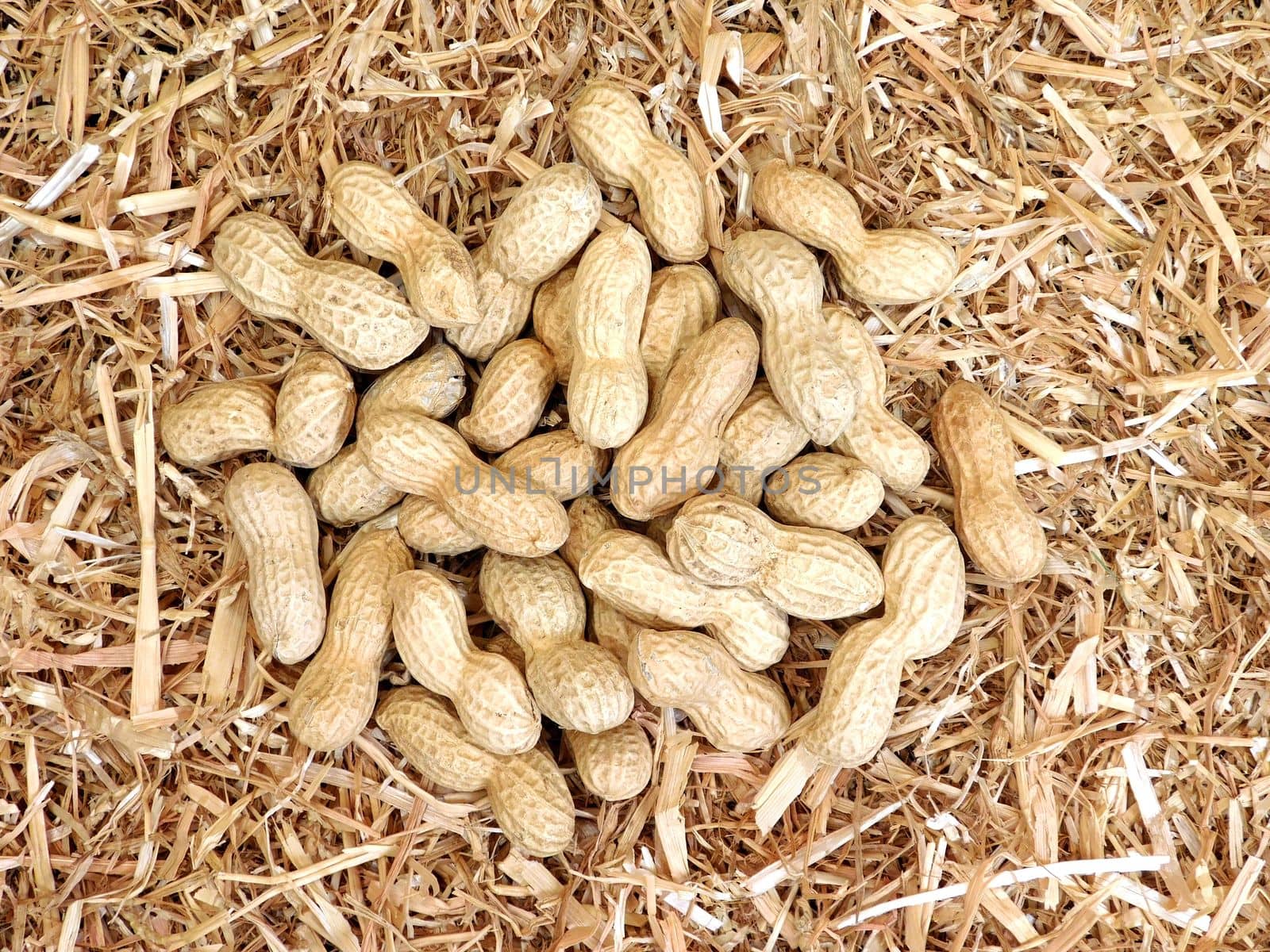 peanuts