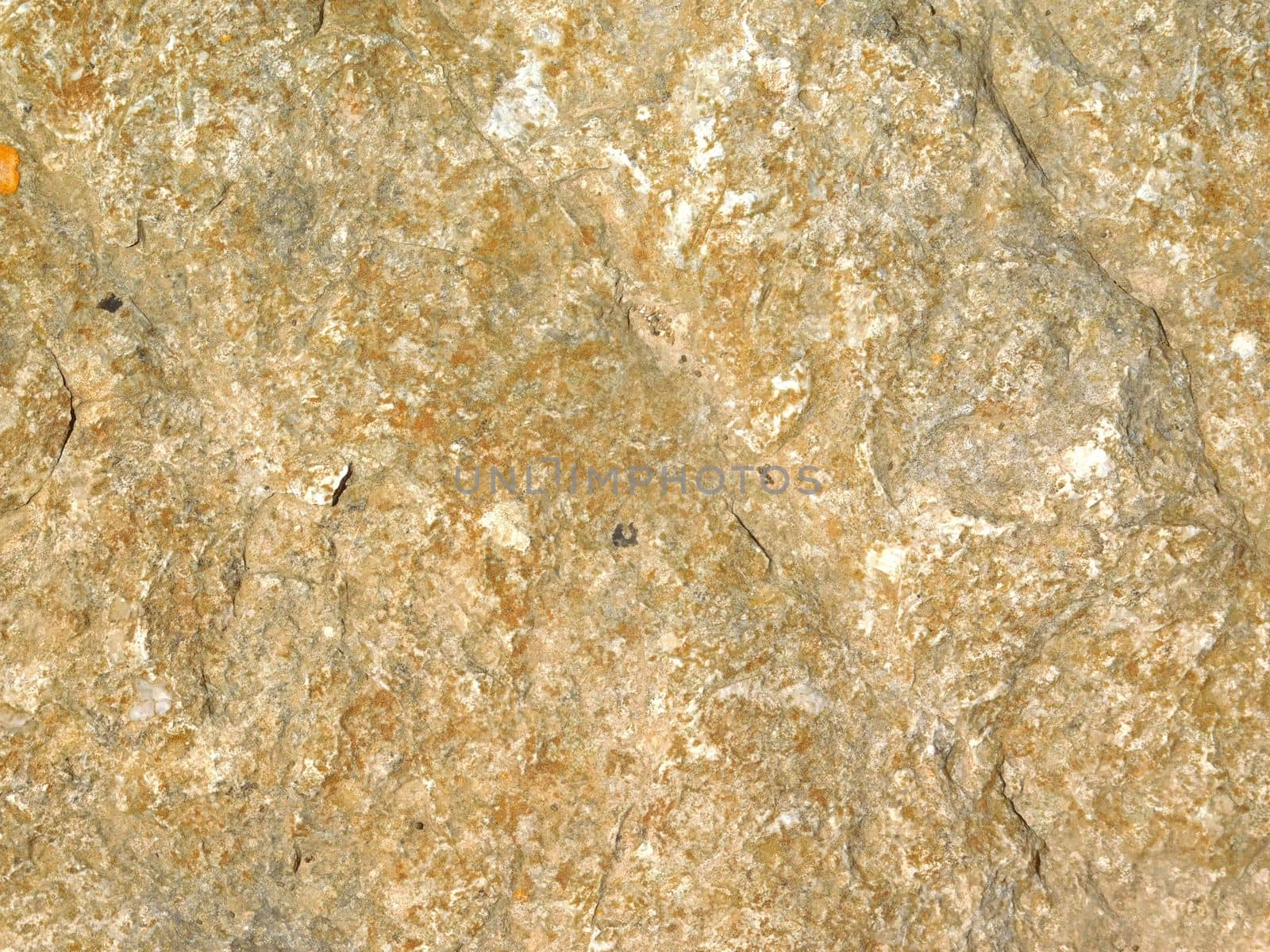 stone texture