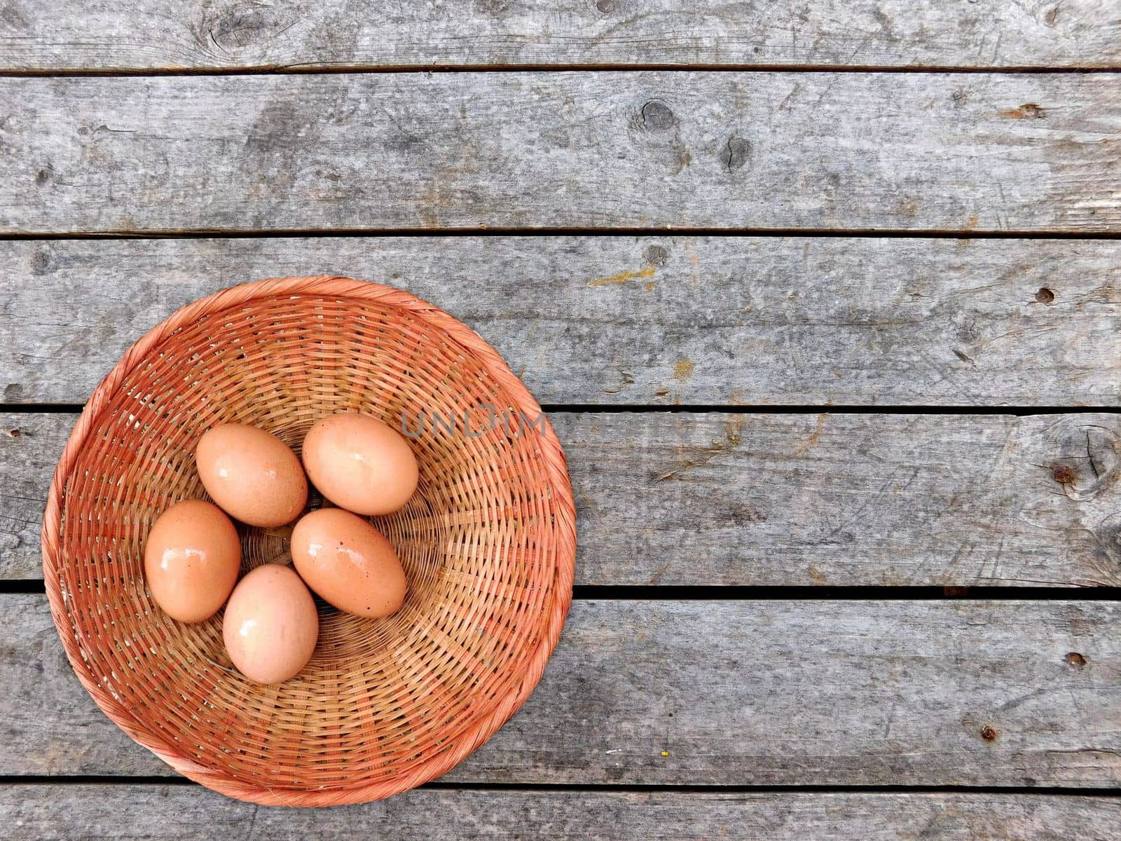 eggs