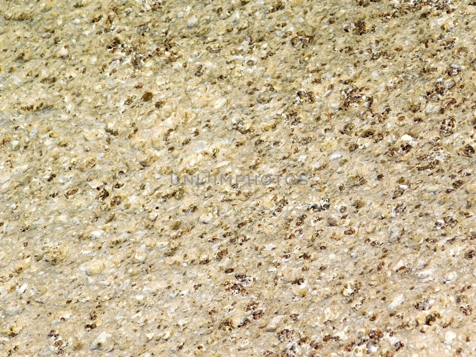 stone texture