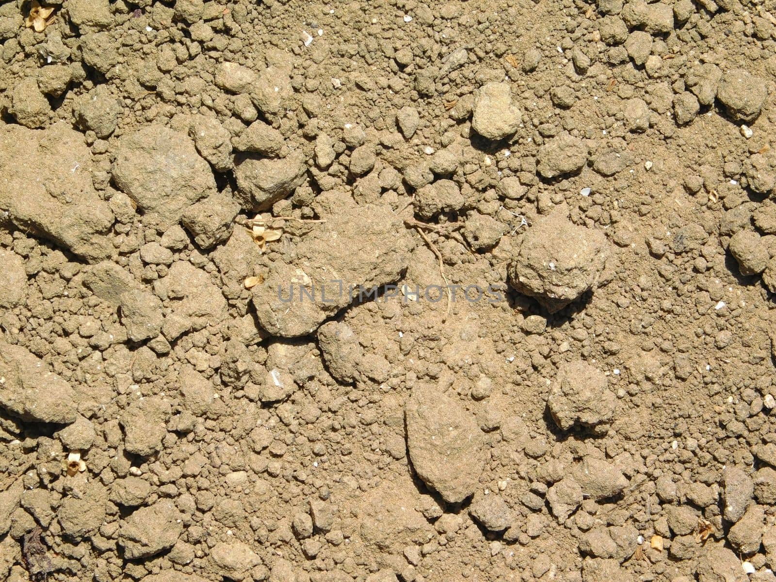 earth texture