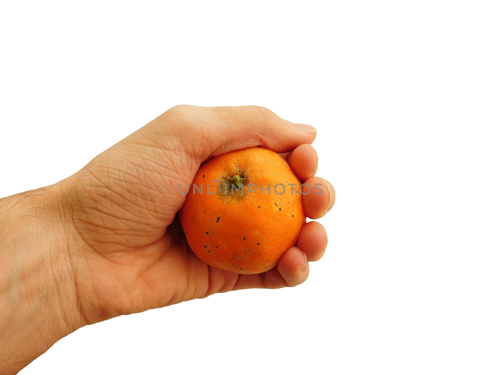 mandarin in hand