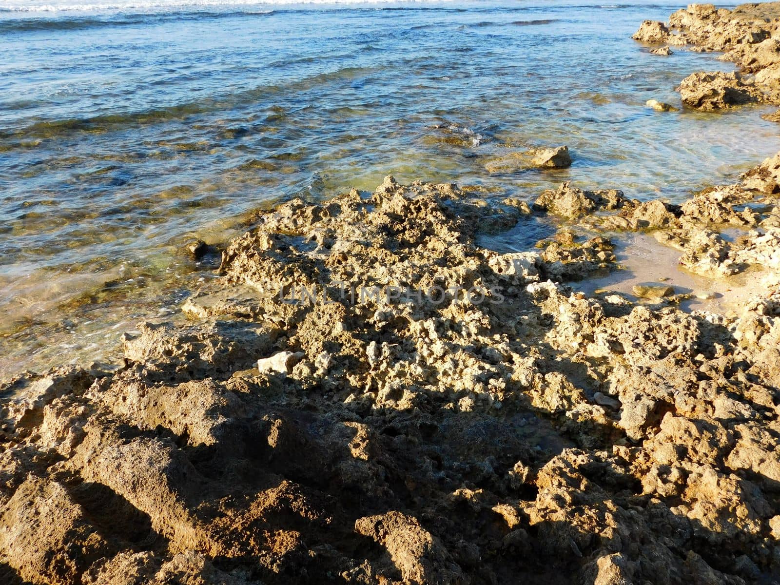 sea