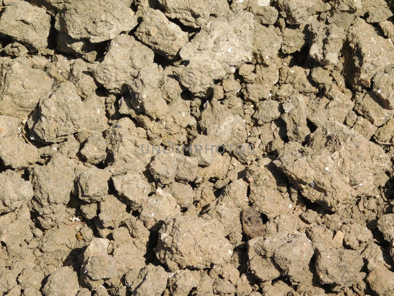 earth texture