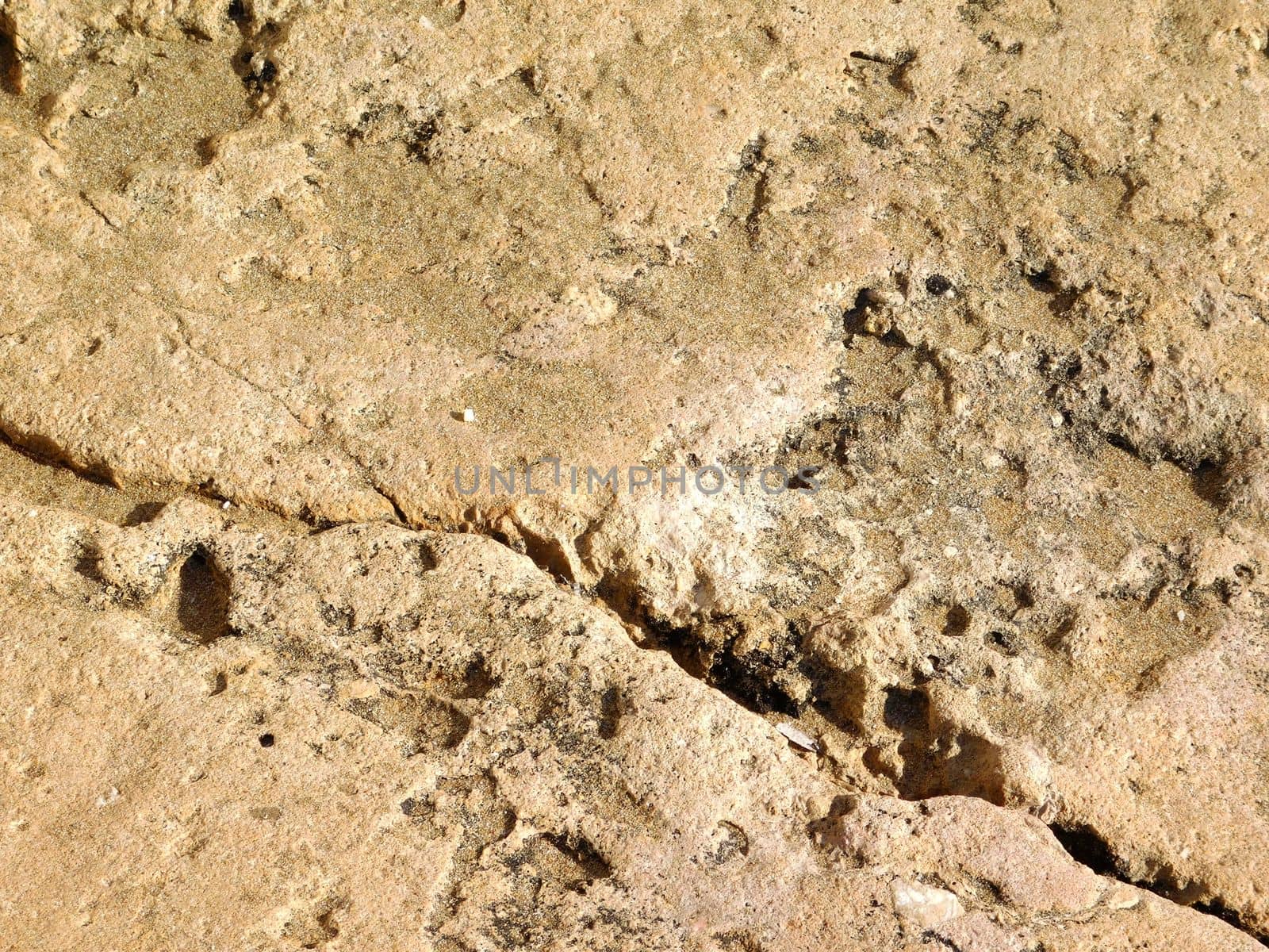 stone texture