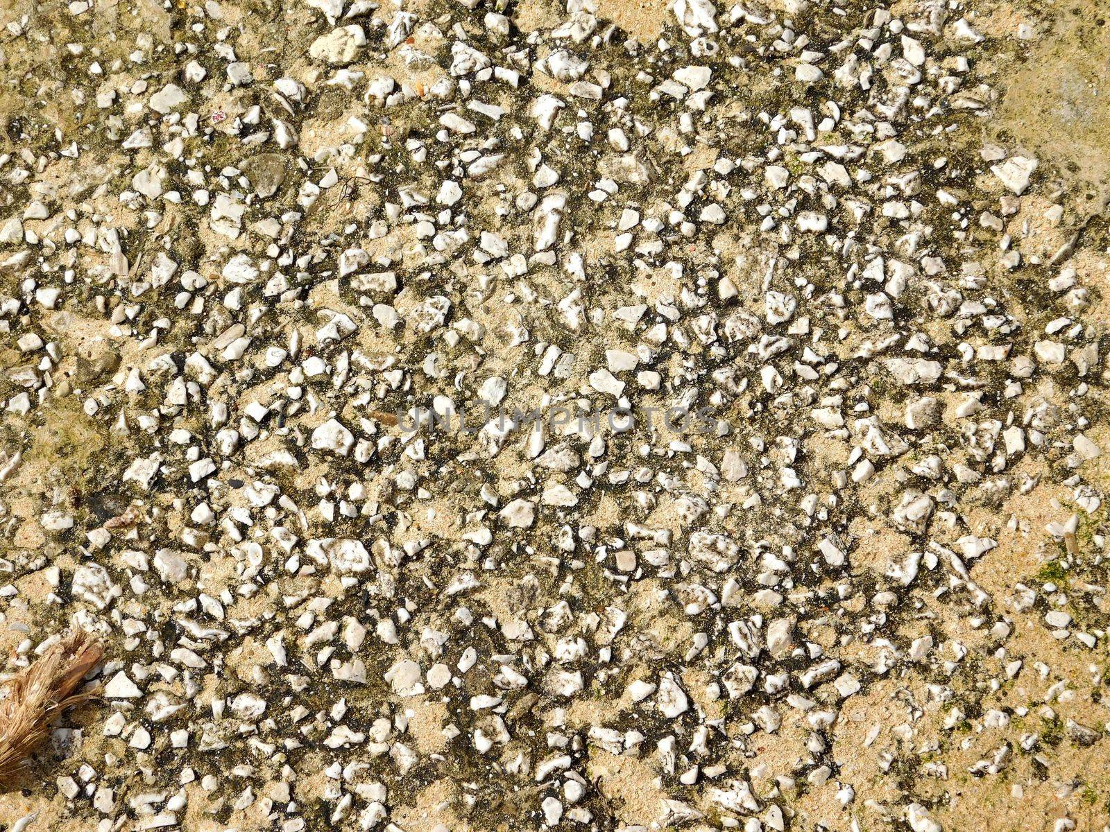 marble texture