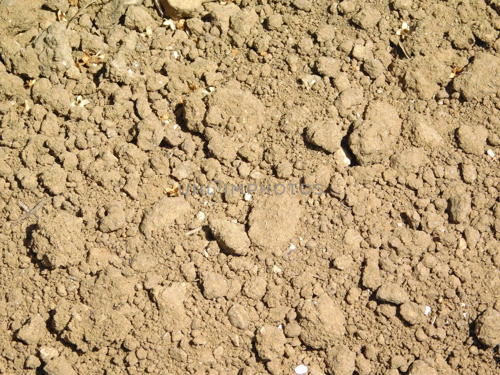 earth texture