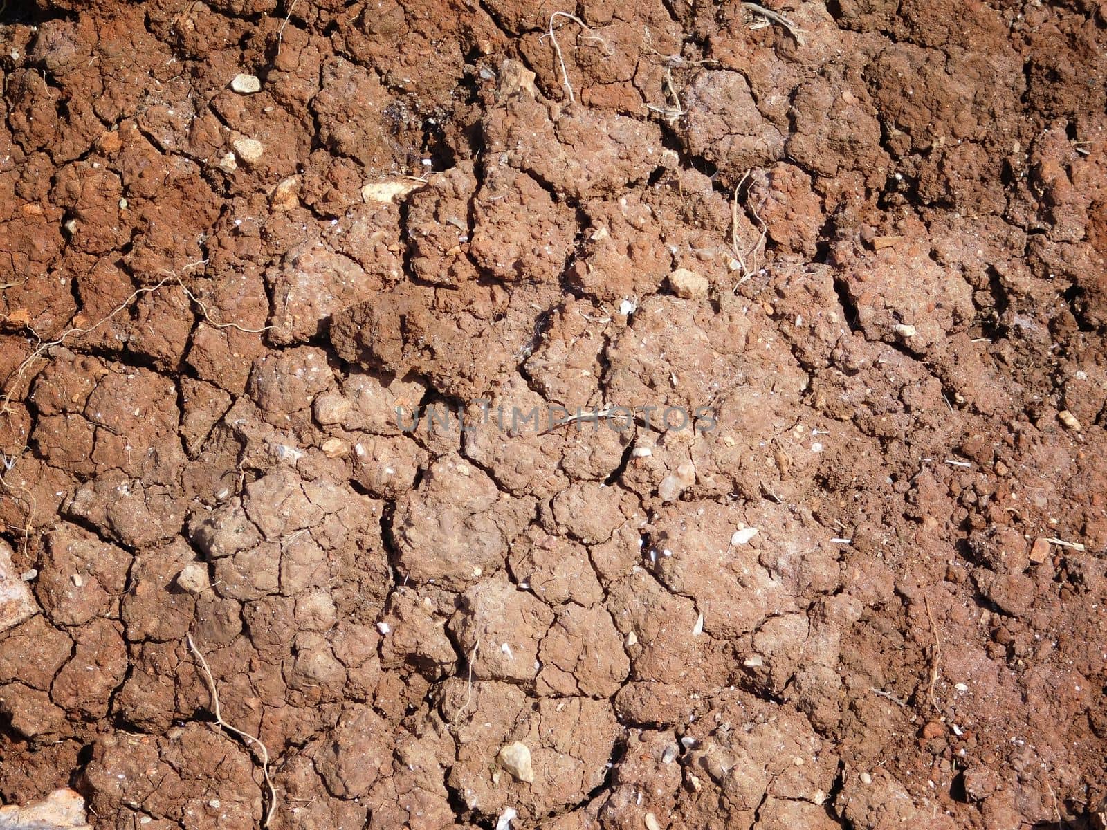 dry land texture