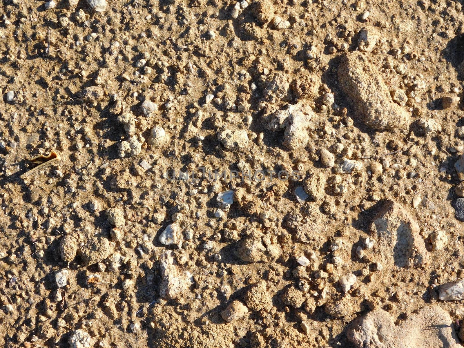 earth texture