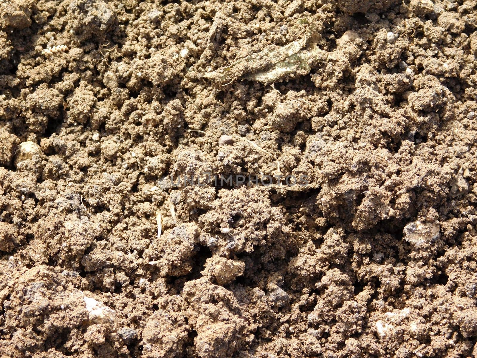 earth texture