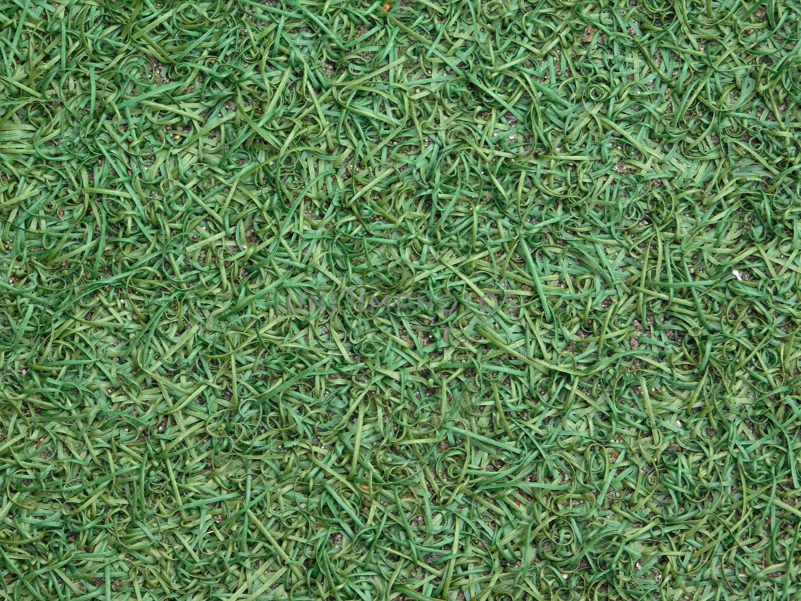 lawn texture