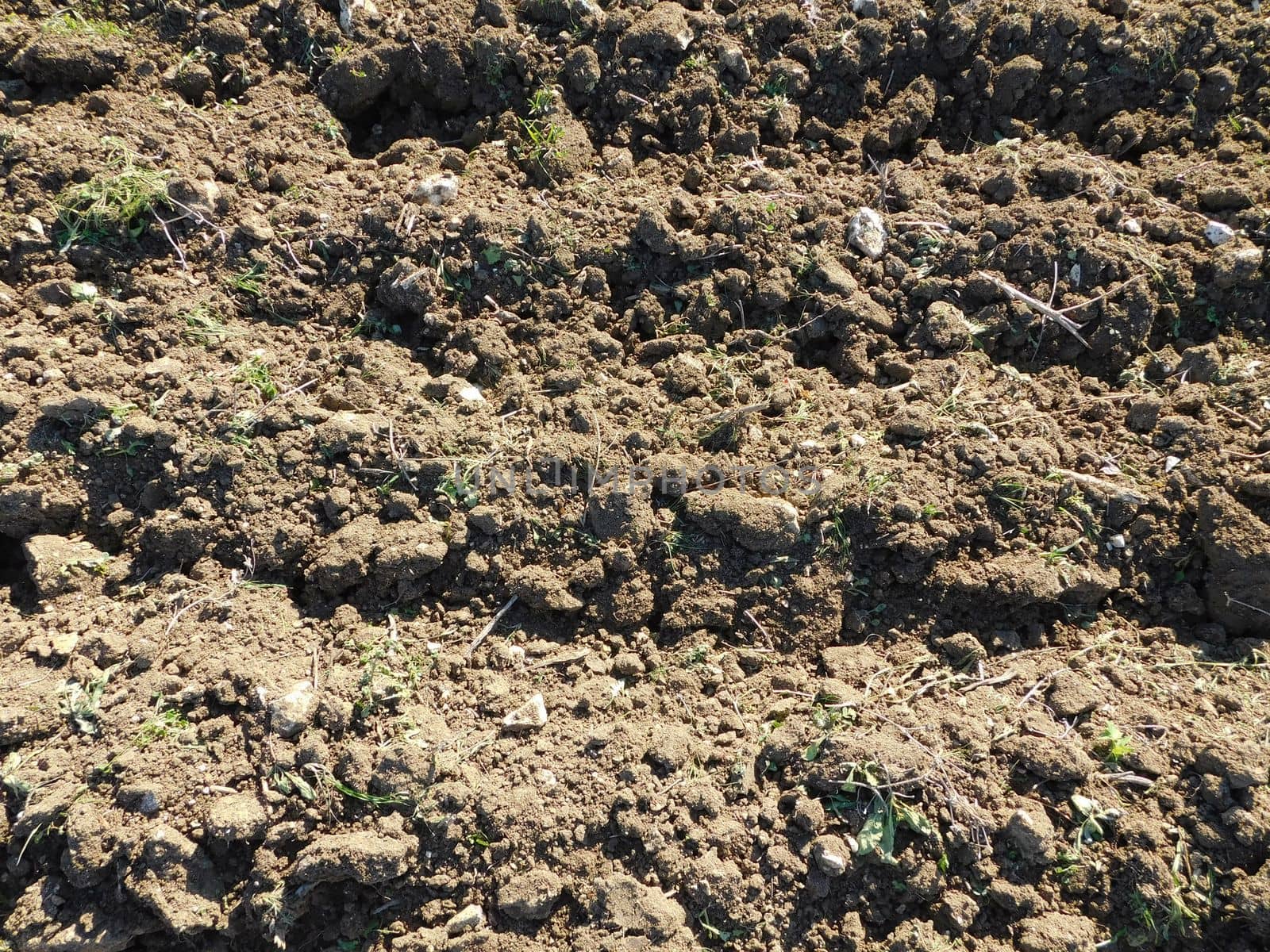 earth texture