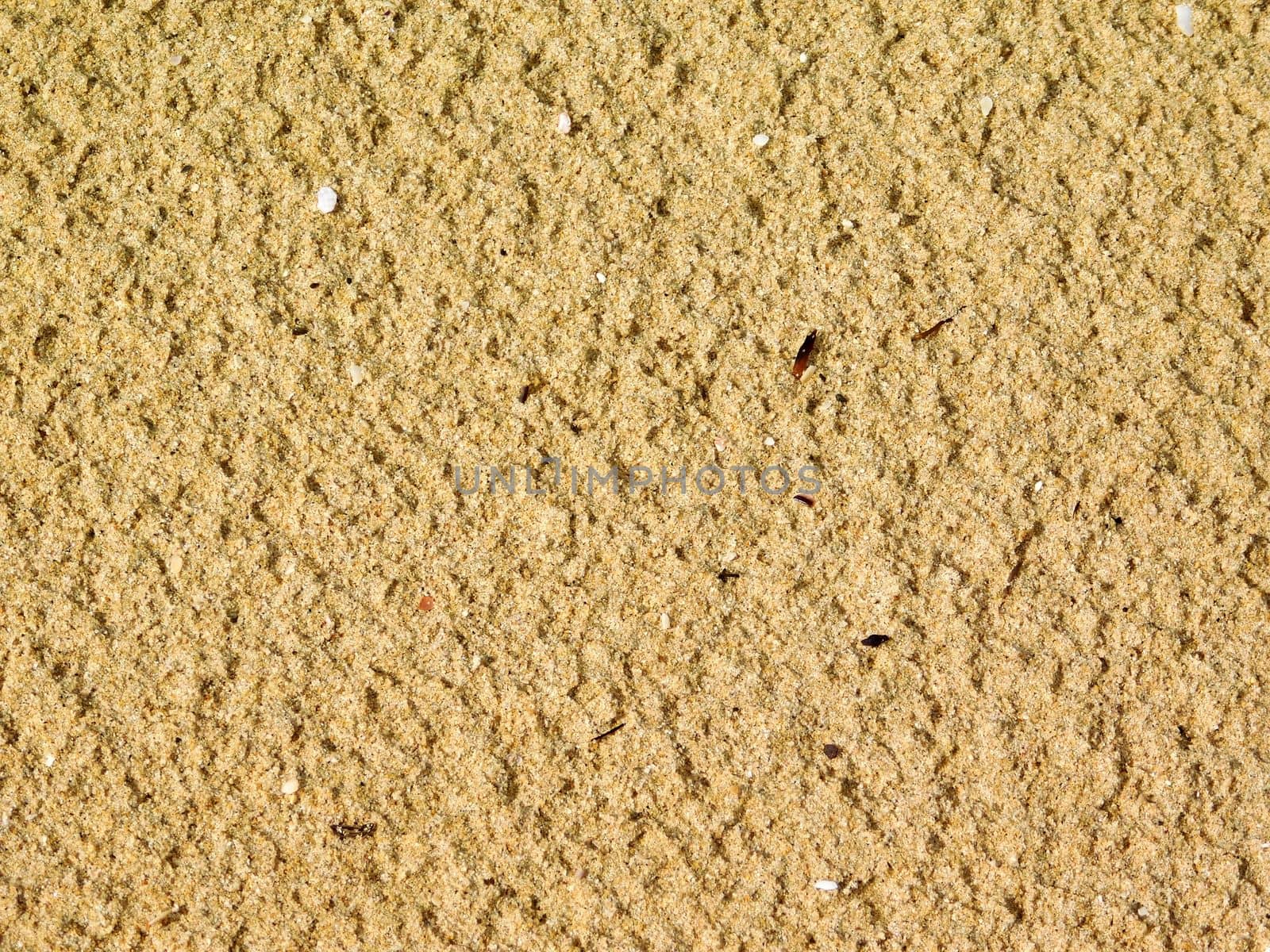 sand texture