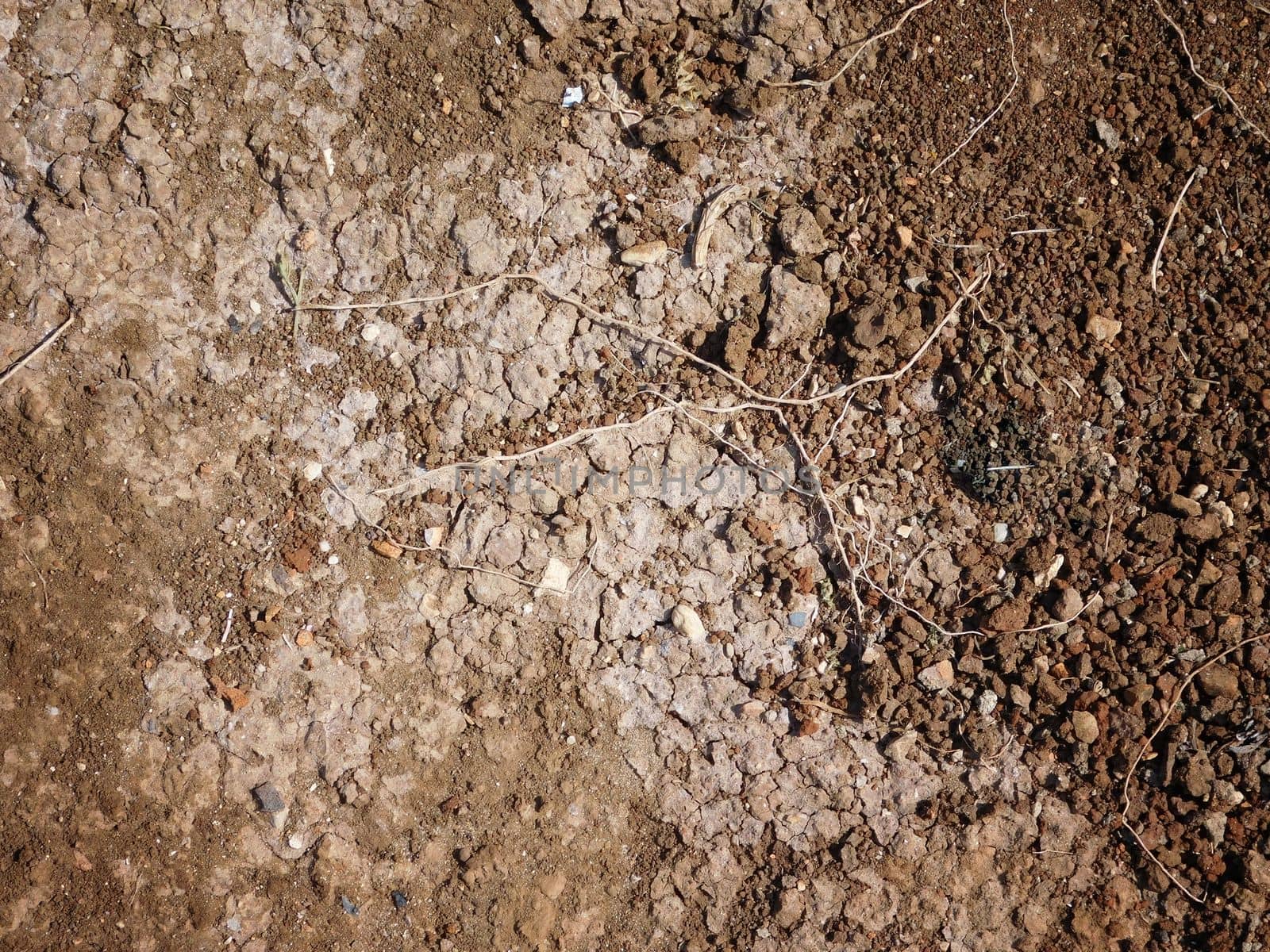 earth texture