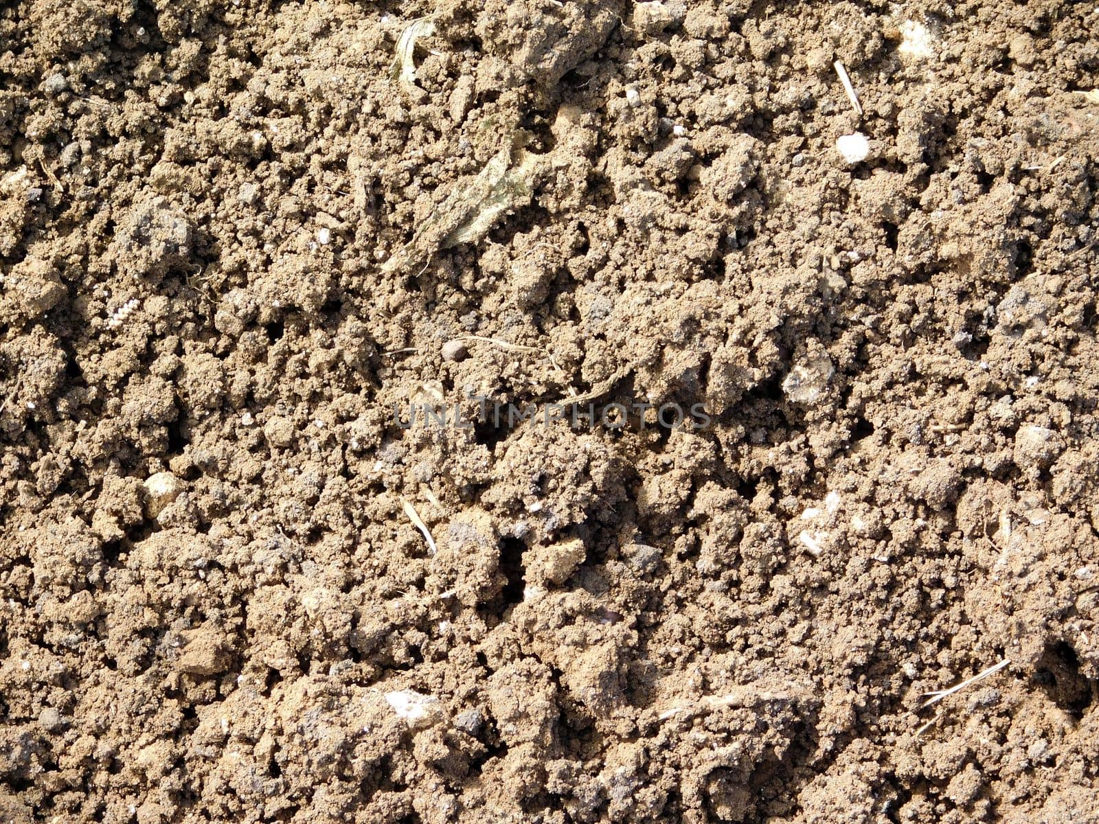 earth texture