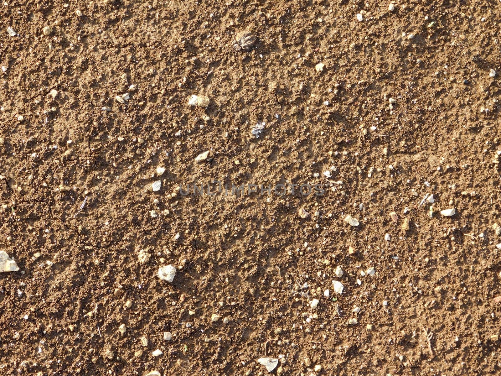 sand