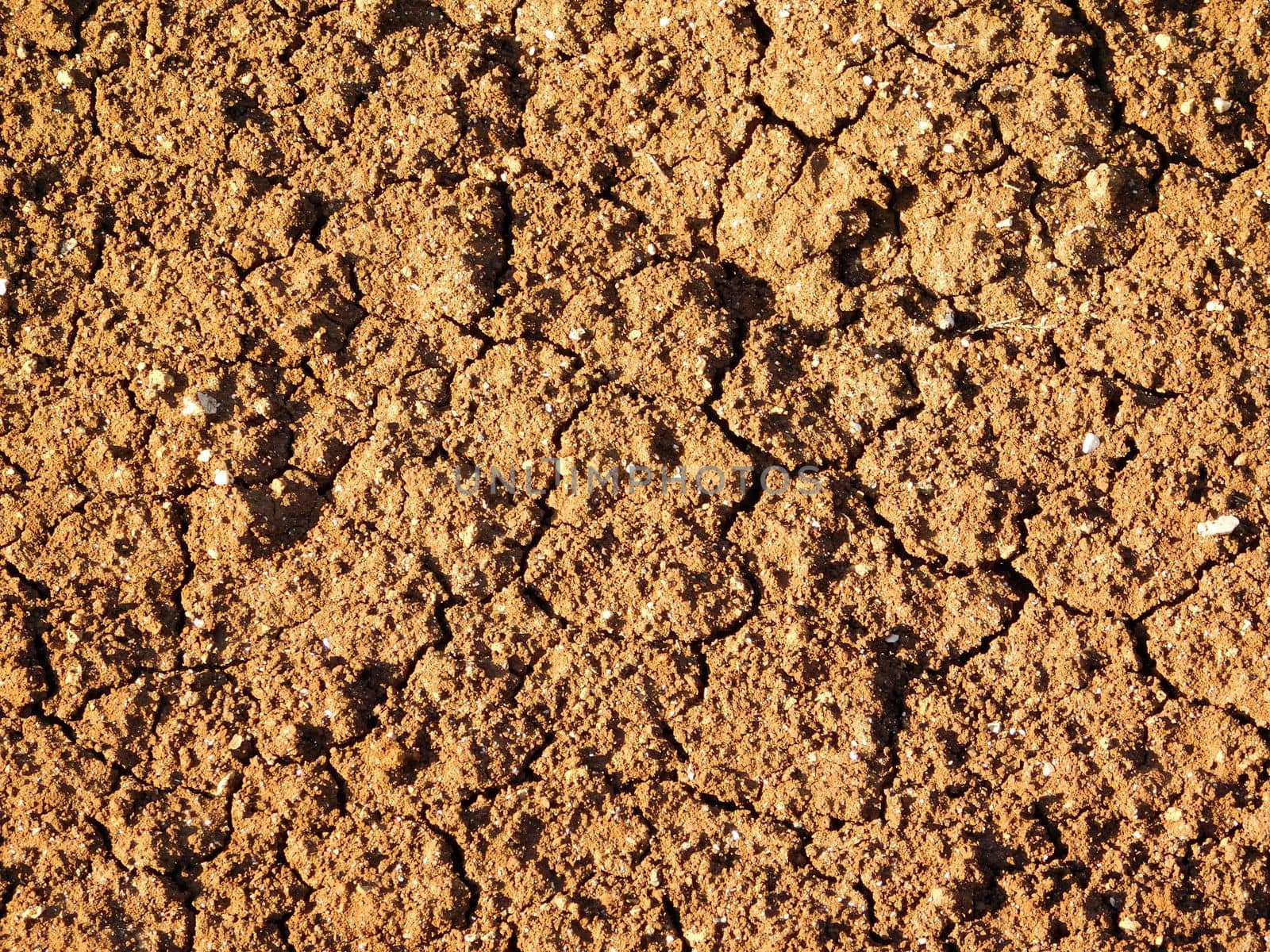 dry land texture