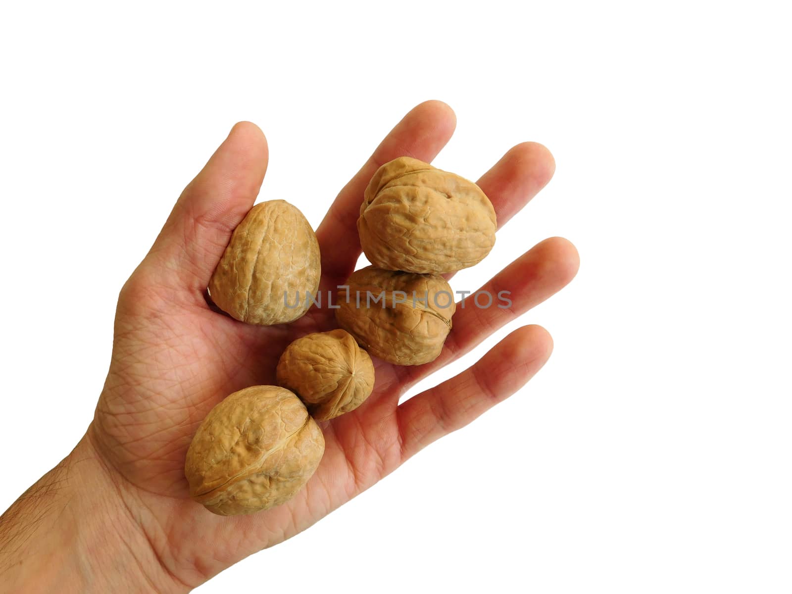 walnuts with shell in hand