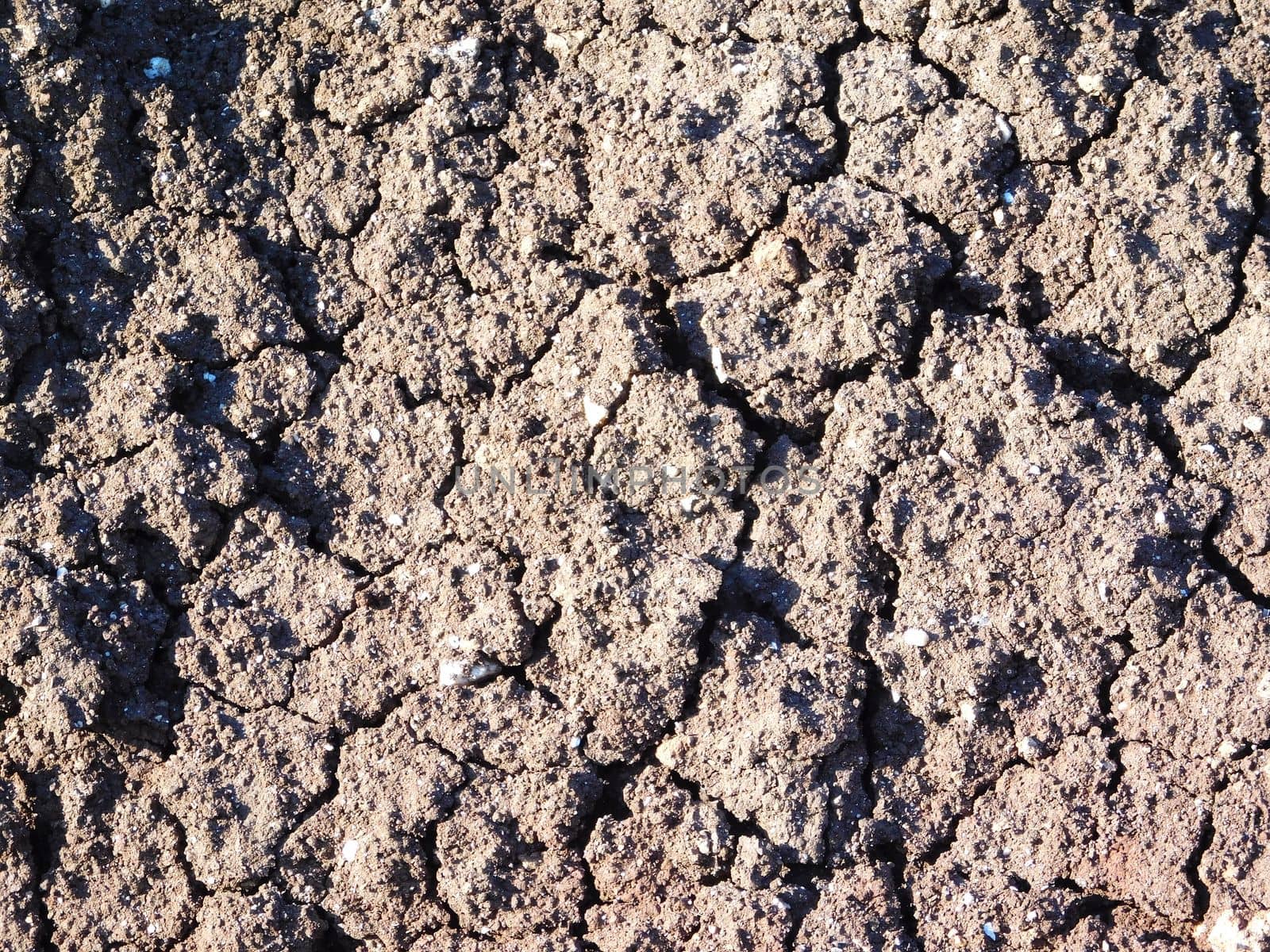 dry land texture