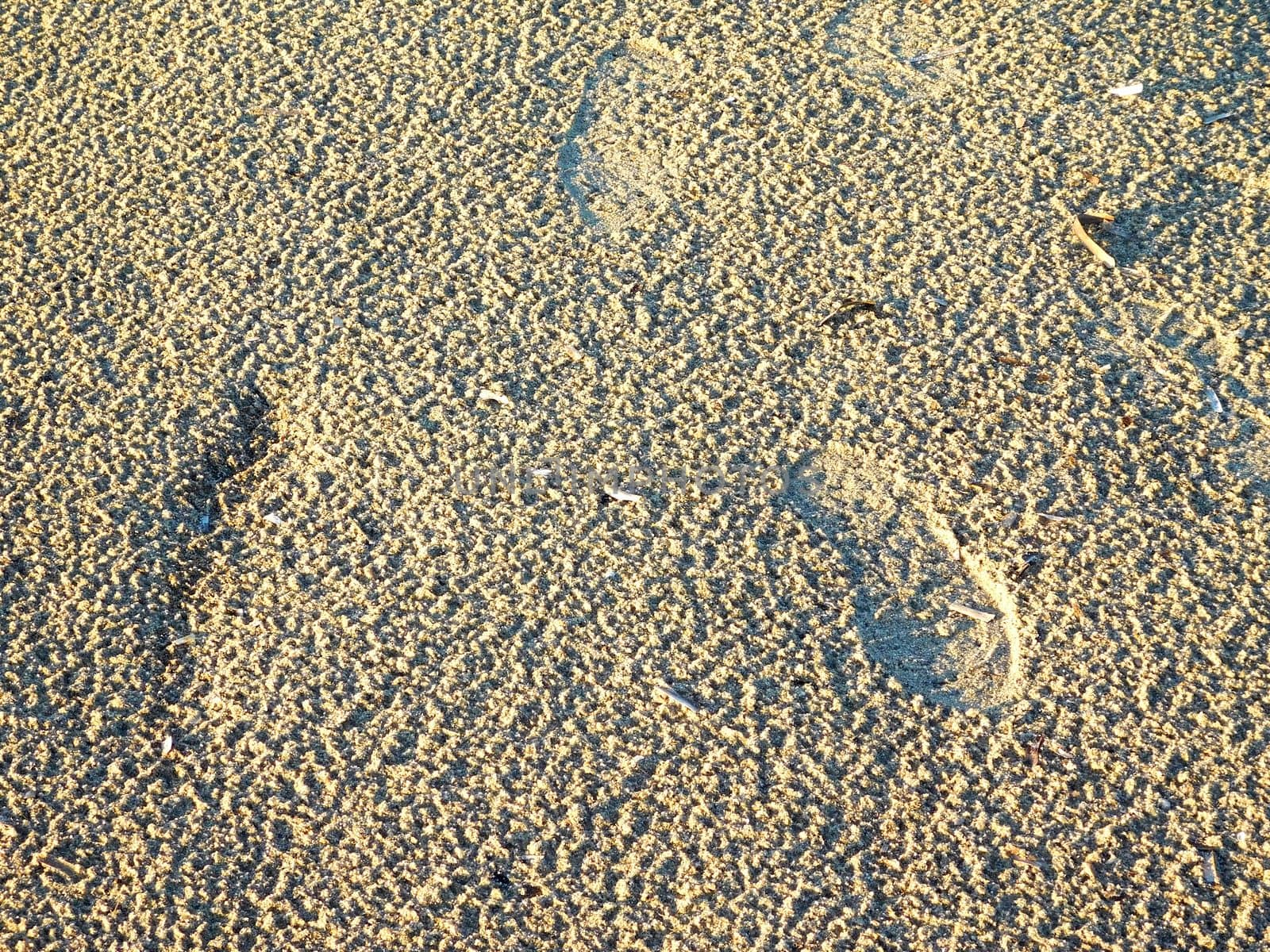 sand