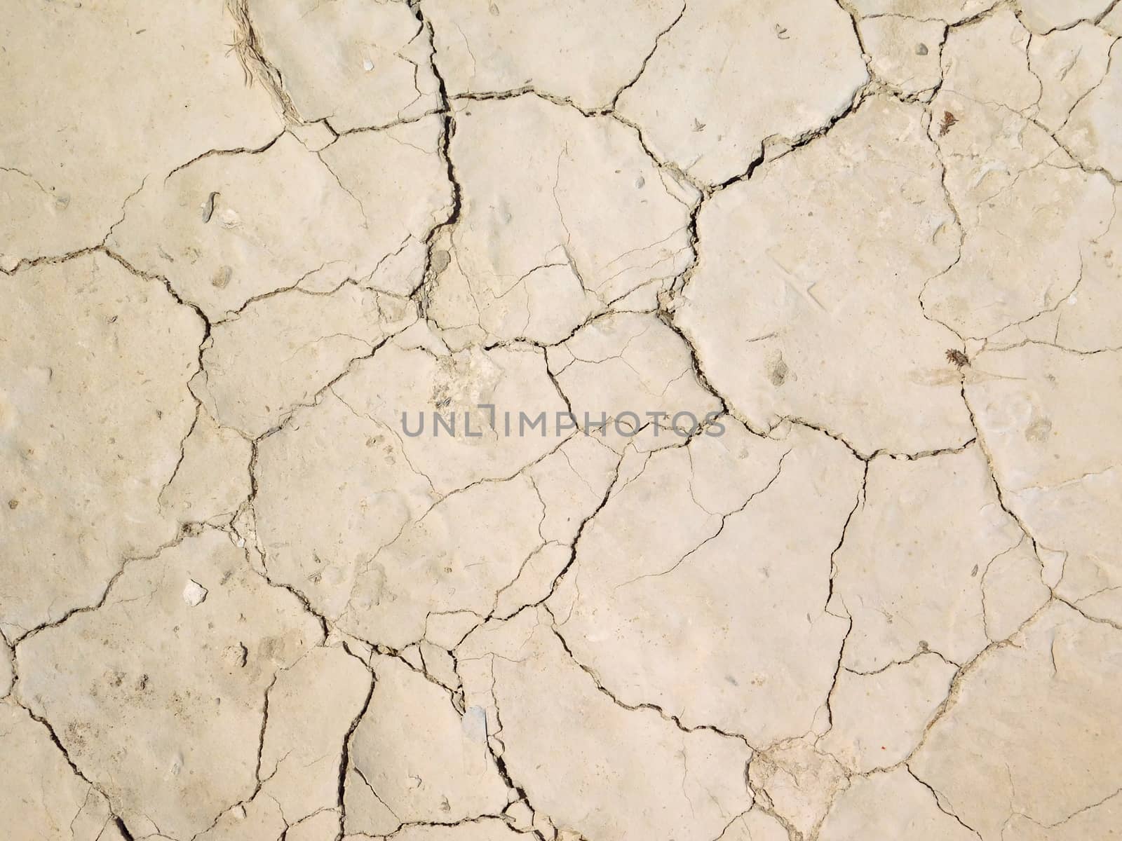 dry land texture