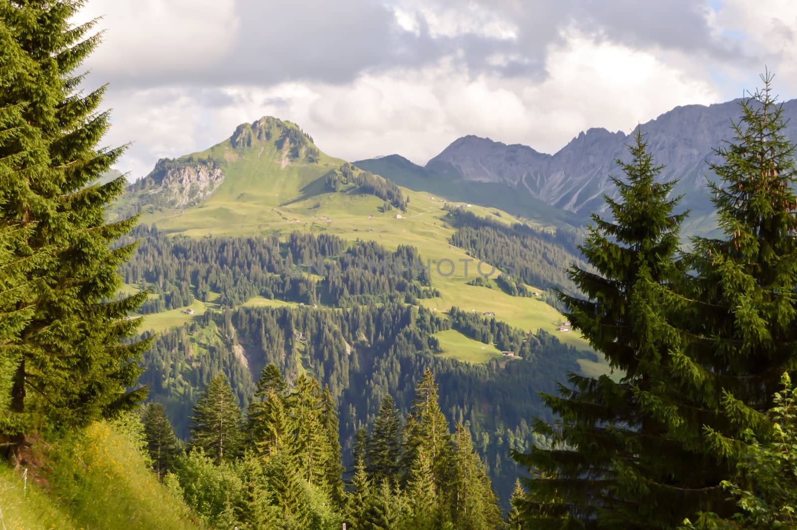 View of a valley and green hills in the Austrian Tyrol